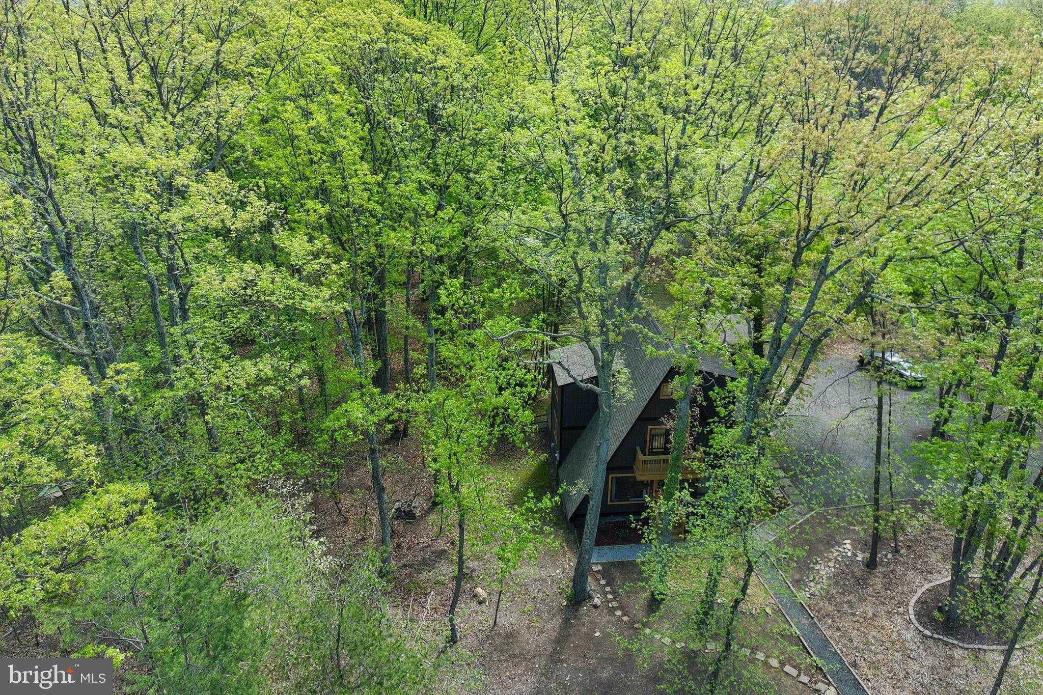 2911 Jackson Dr photo 39