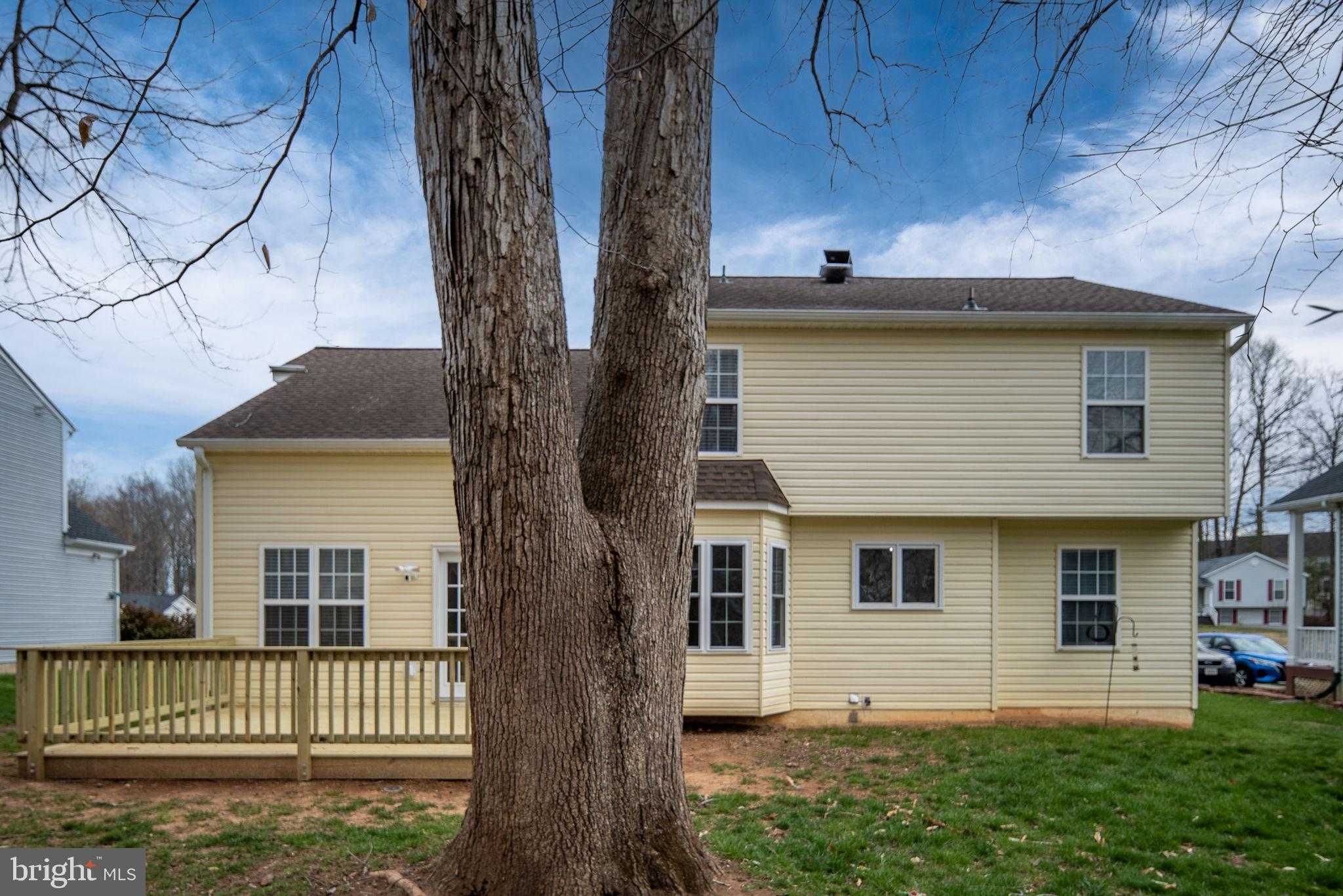 112 Barbara Ann Dr photo 66