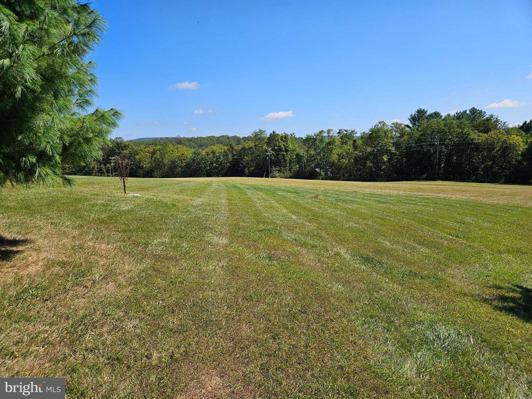 13142 Waterford View CT photo 3