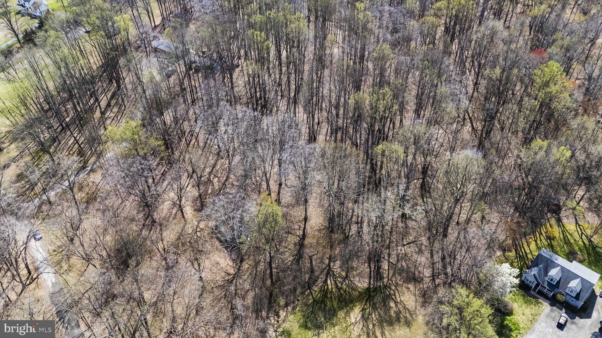 1003 Mount Zion Marlboro Rd photo 2