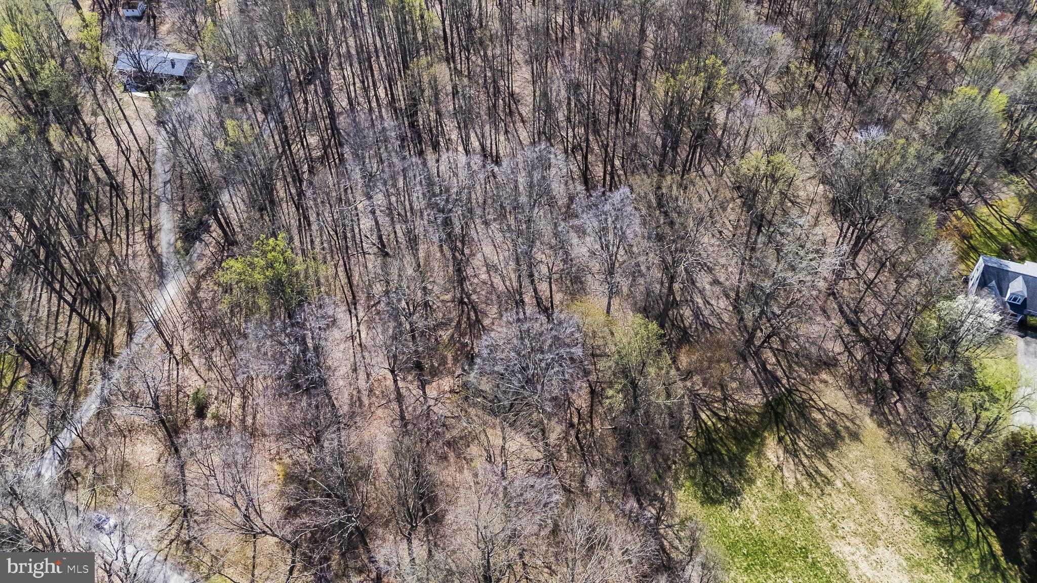 1003 Mount Zion Marlboro Rd photo 4