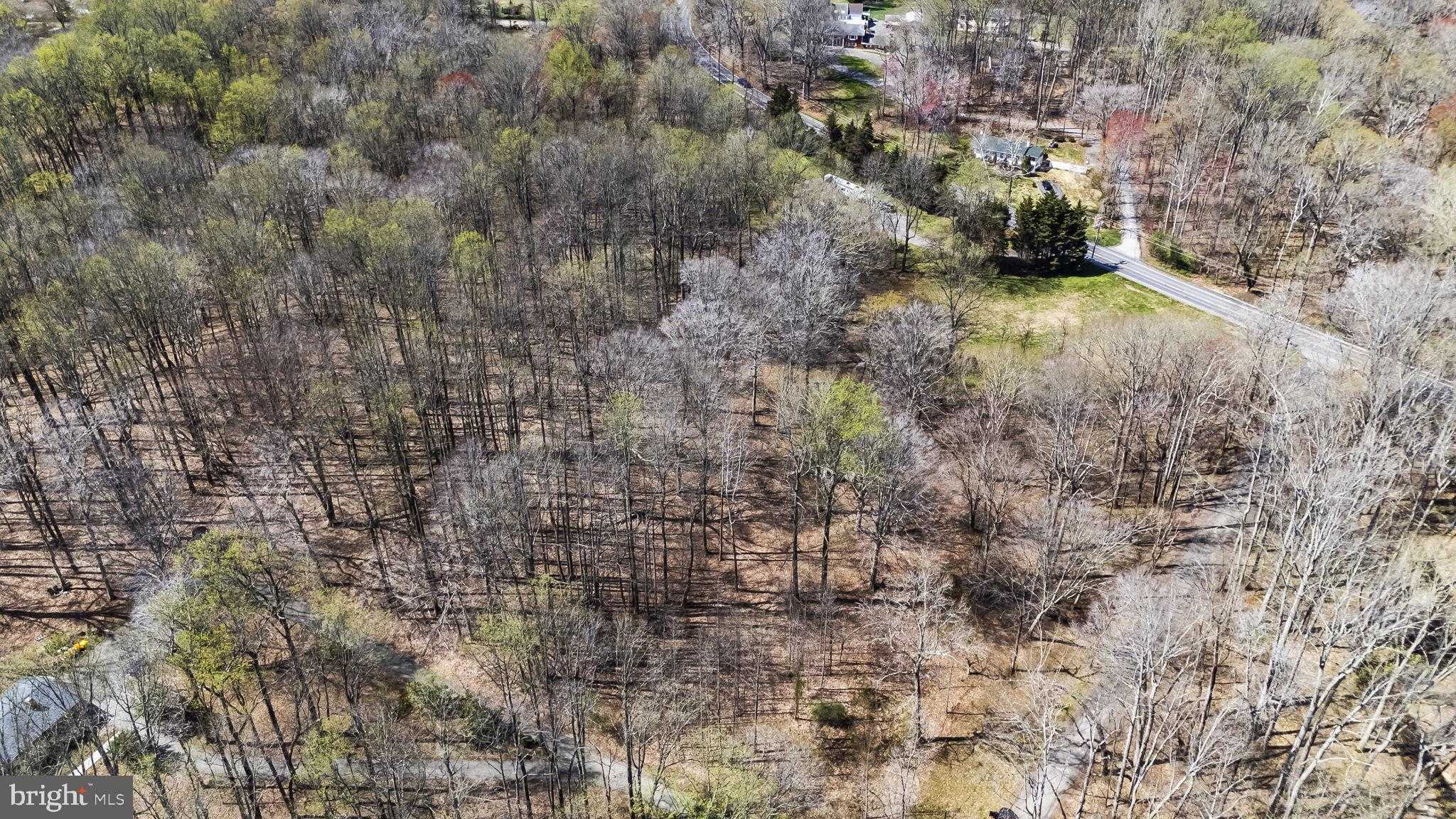 1003 Mount Zion Marlboro Rd photo 7