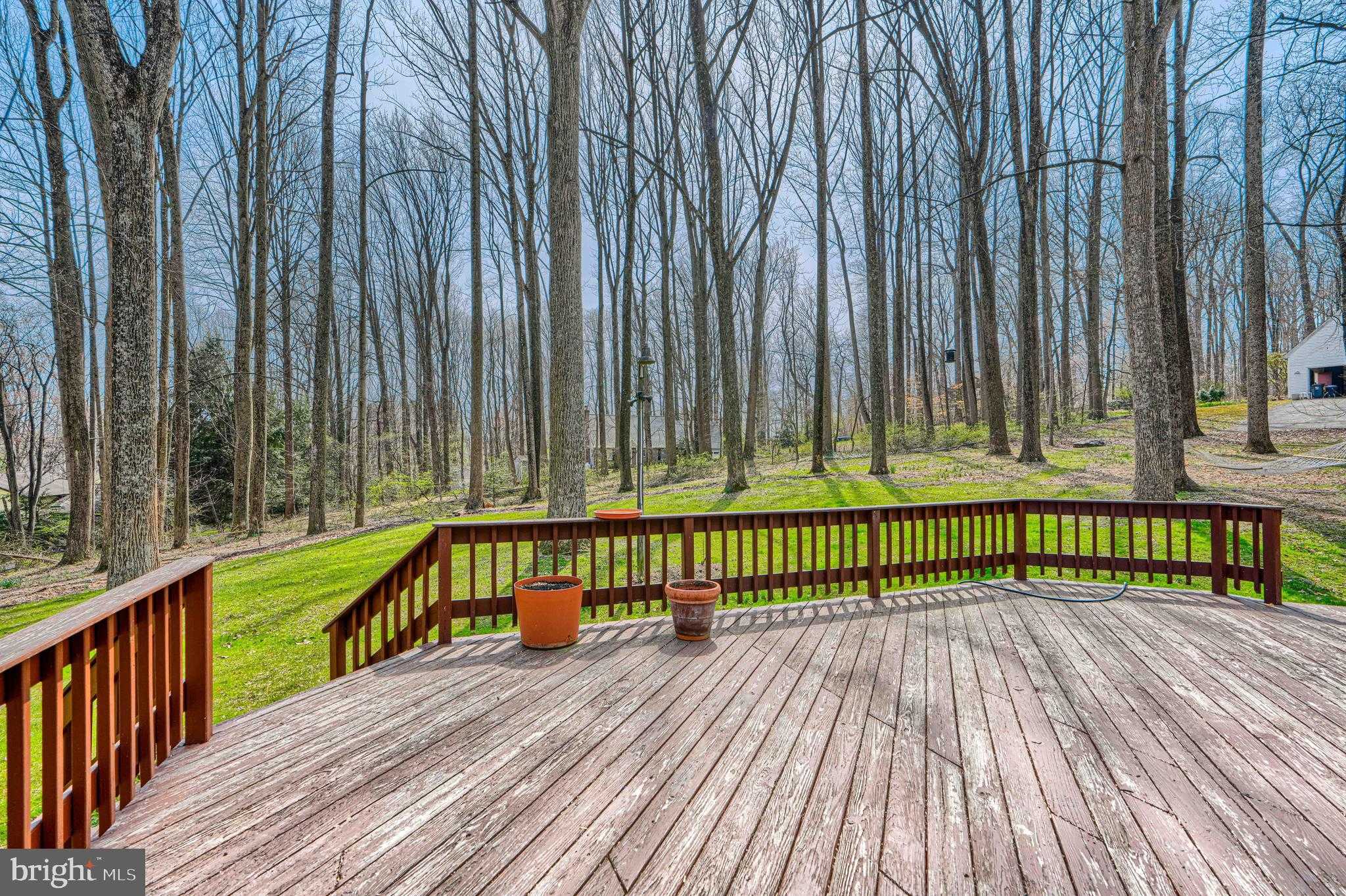 3931 Deer Park CT photo 41