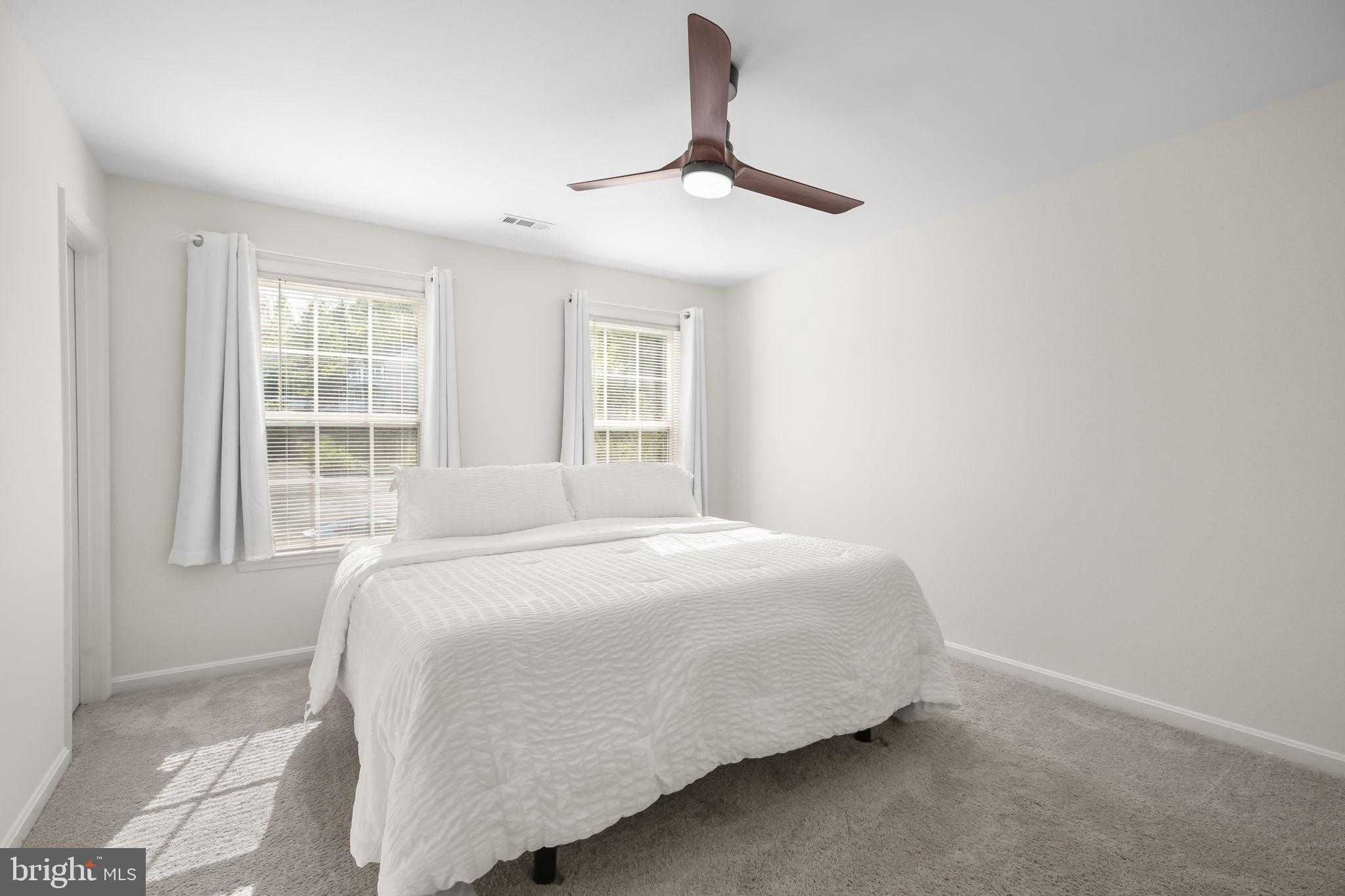 36 Amelia CT photo 15