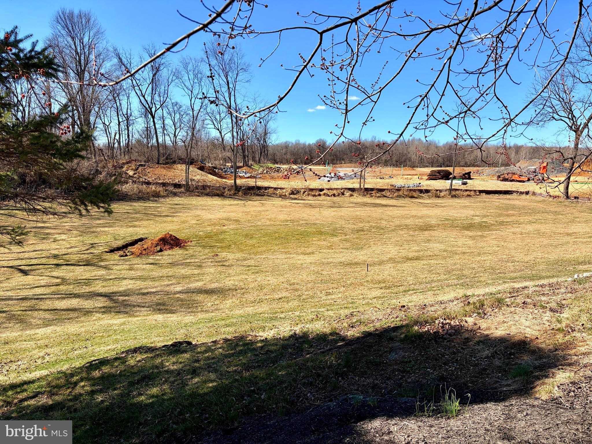 13669 Apple Harvest Dr photo 31