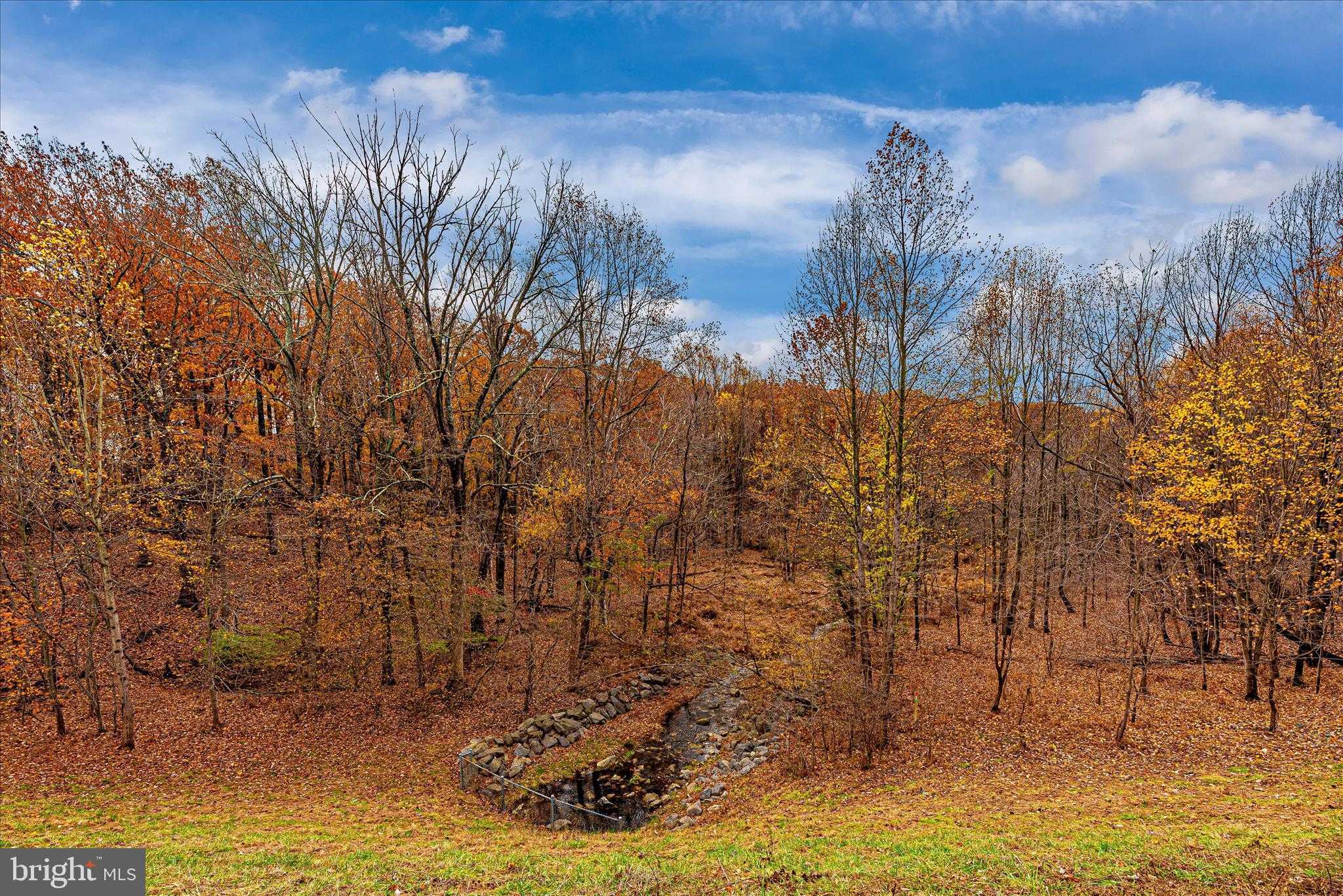 25538 Joy Ln photo 41