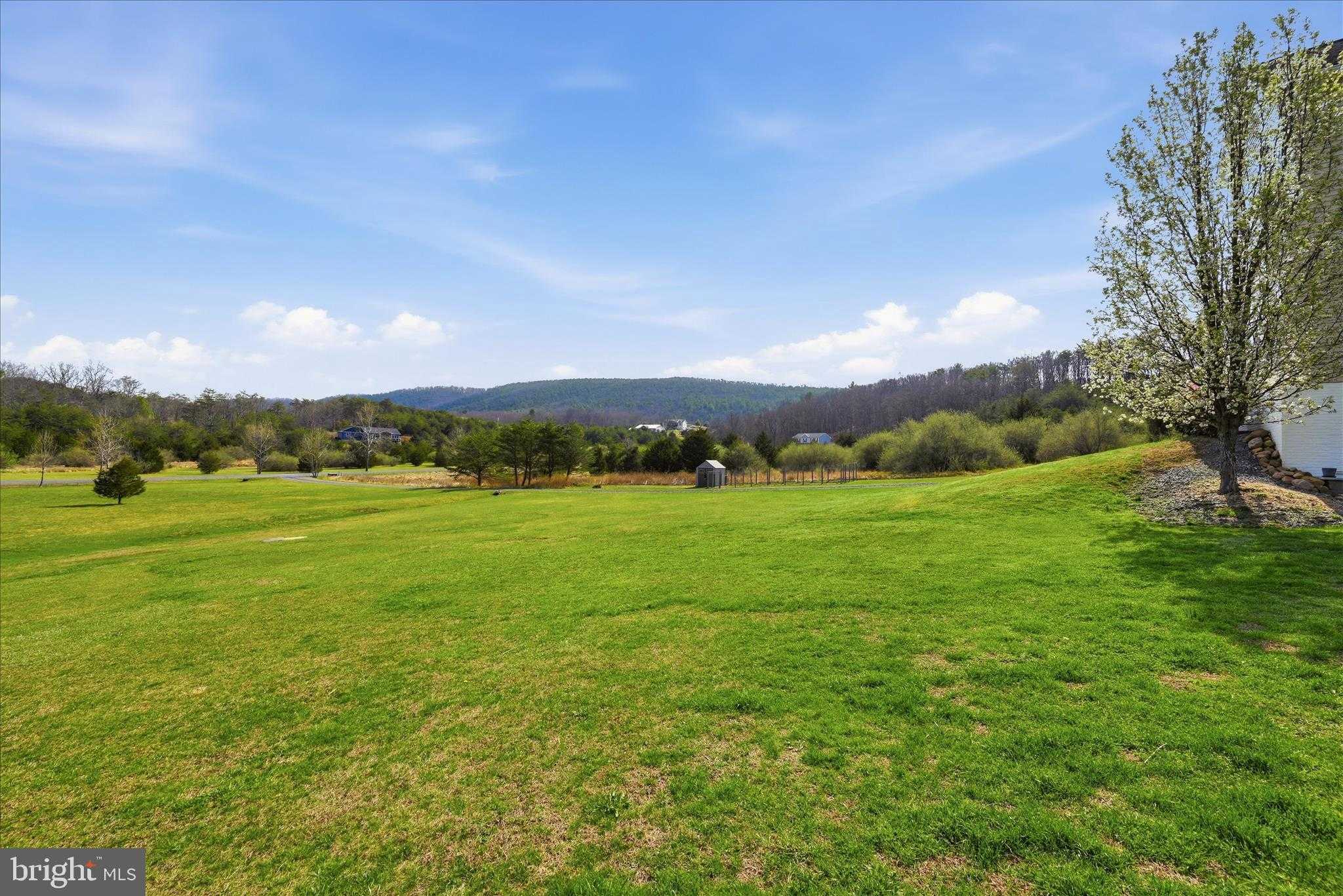 345 Paso Fino Dr photo 37