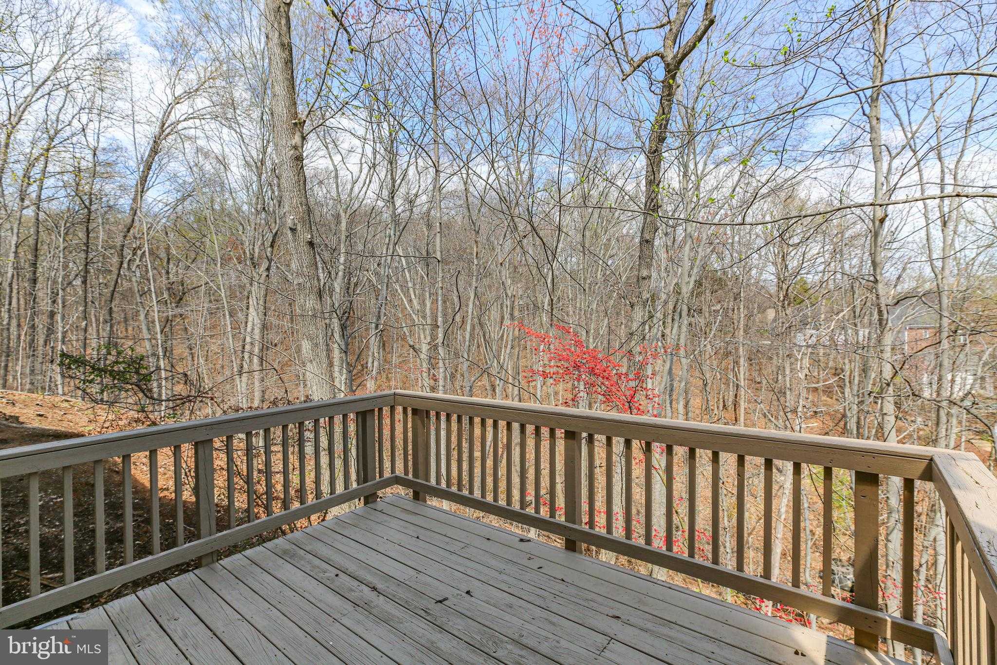 1021 Albert Rennolds Dr photo 66