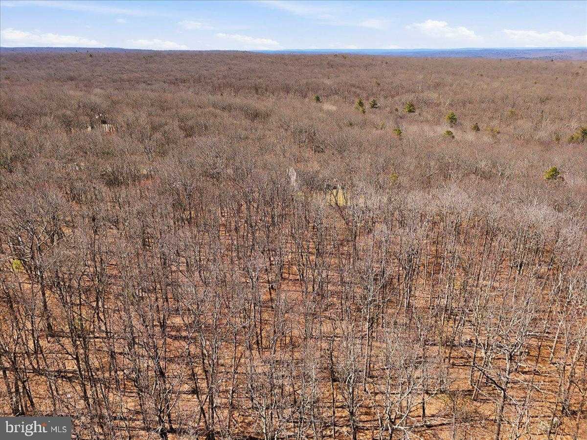 135 Hedge Hollow Ct photo 25