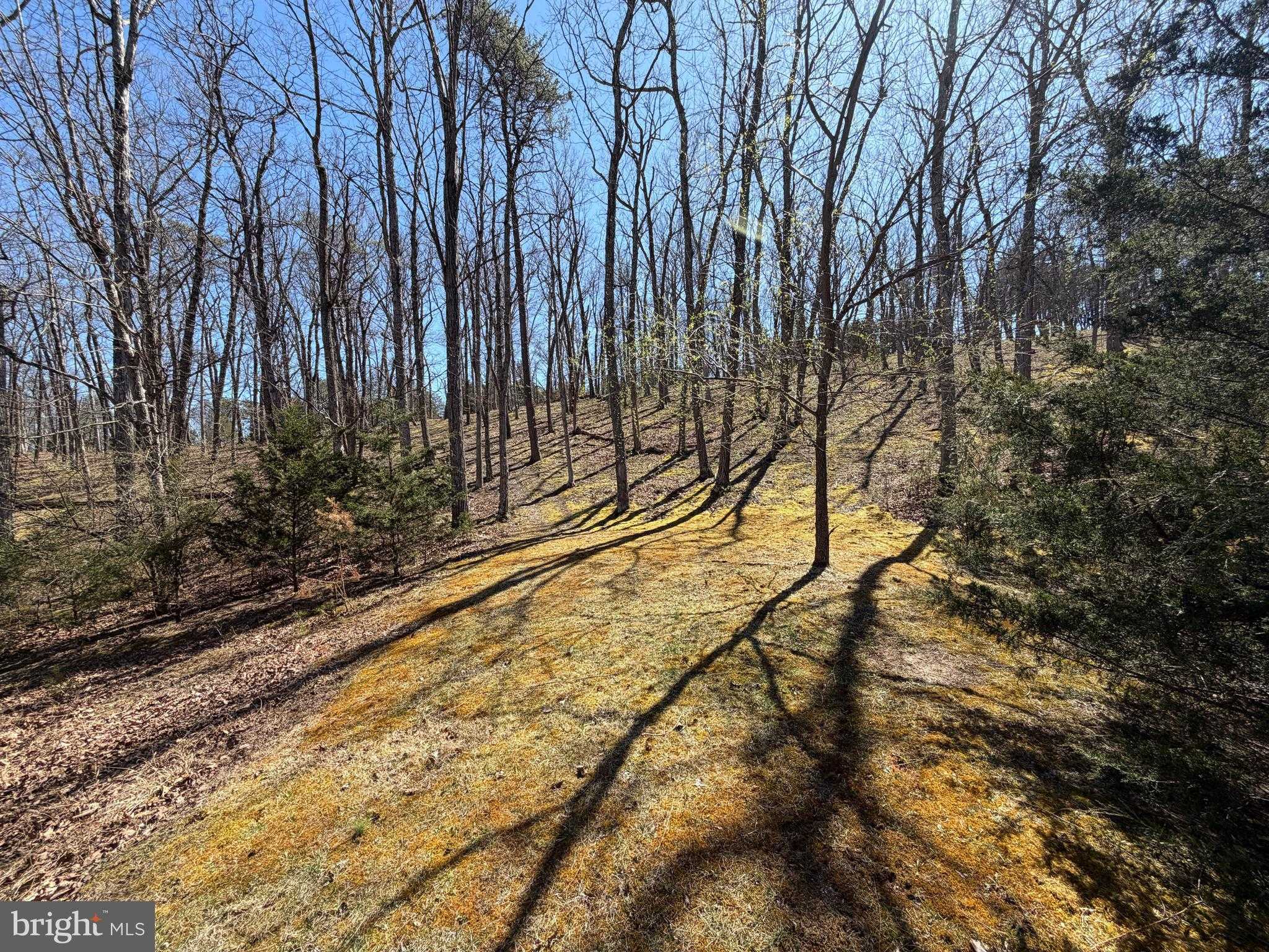 563 Valley Forge Ln photo 105