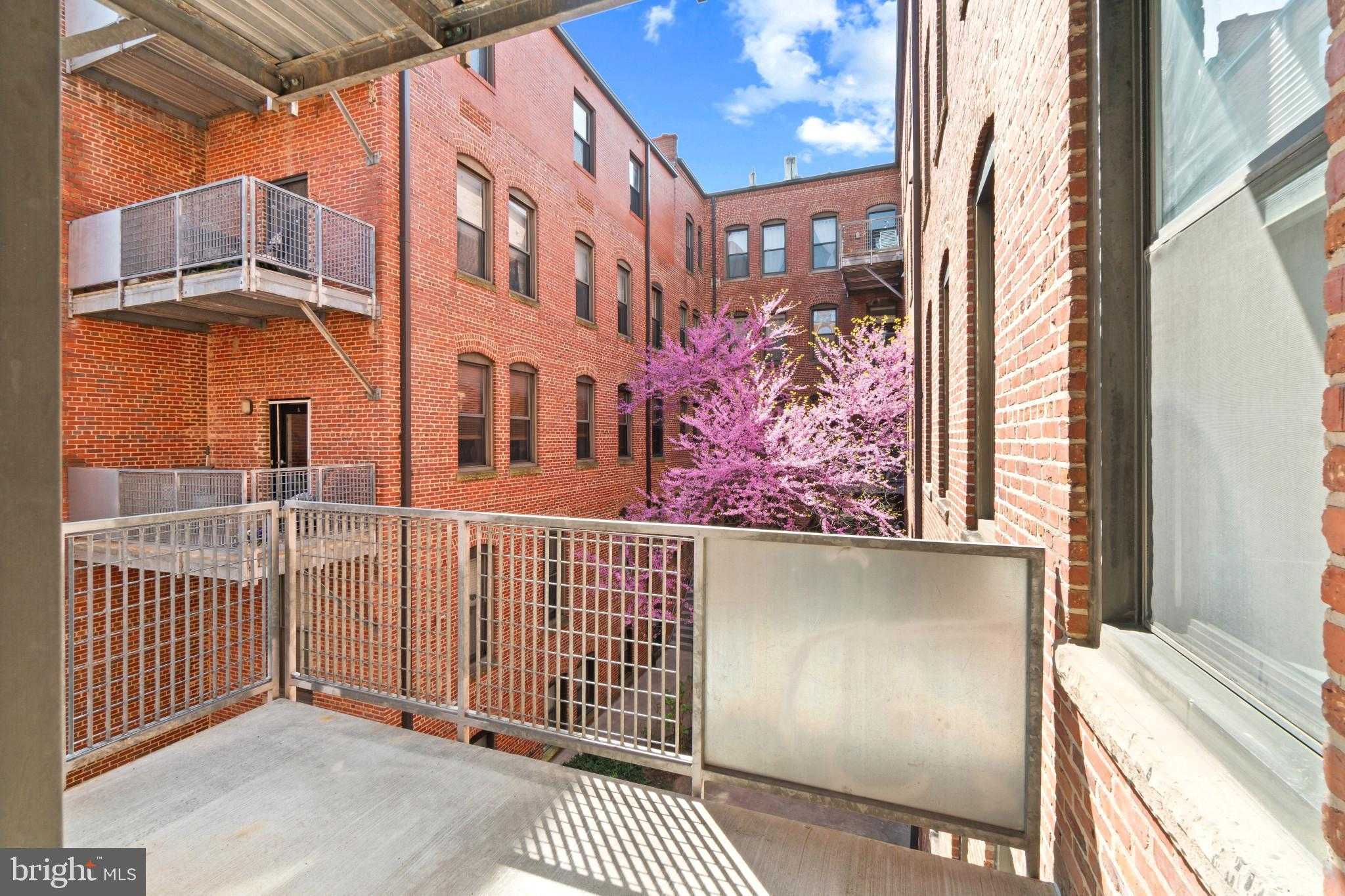 1211 Light St Apt 211 photo 13