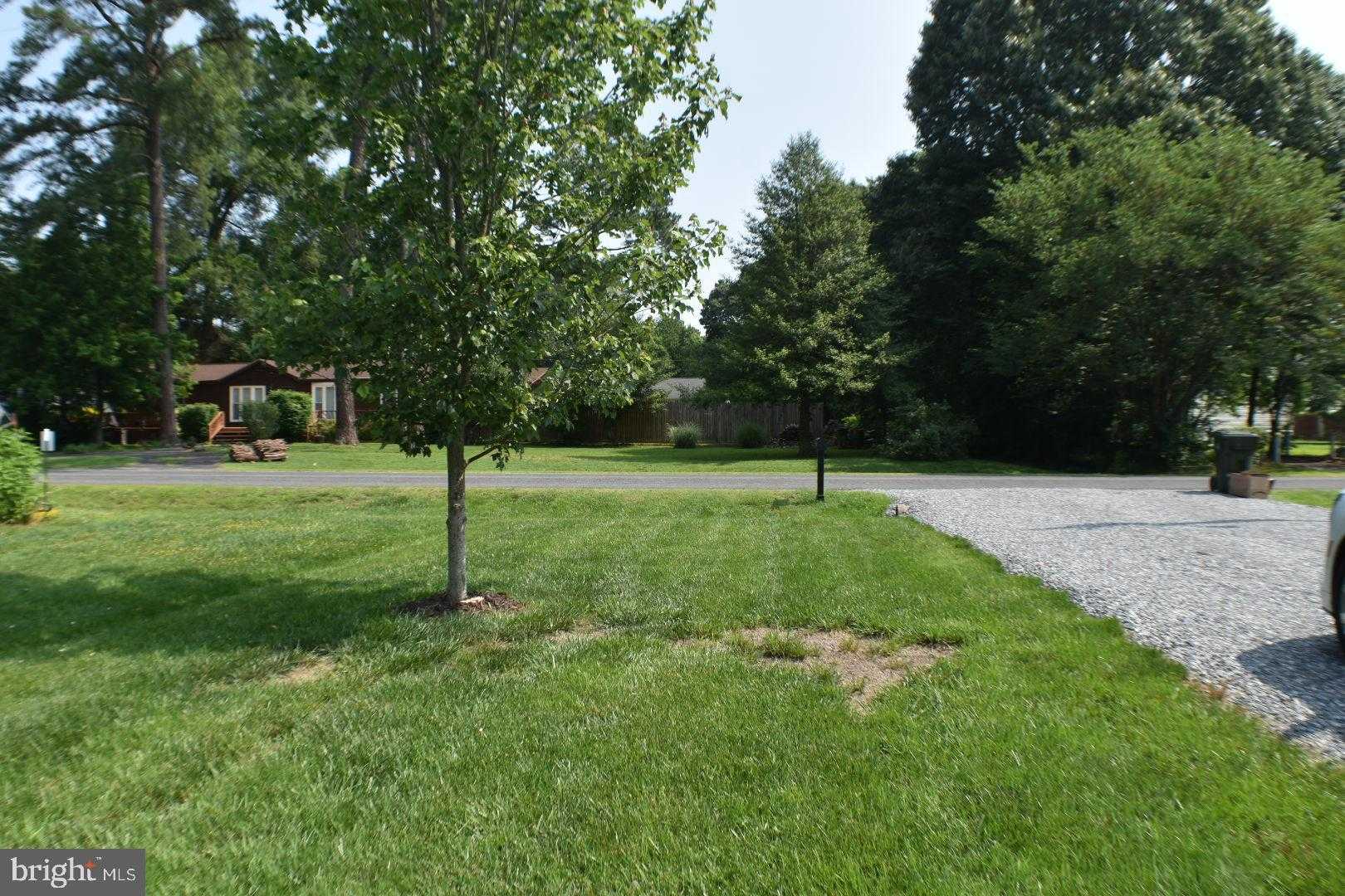 305 Cedar Ln photo 4