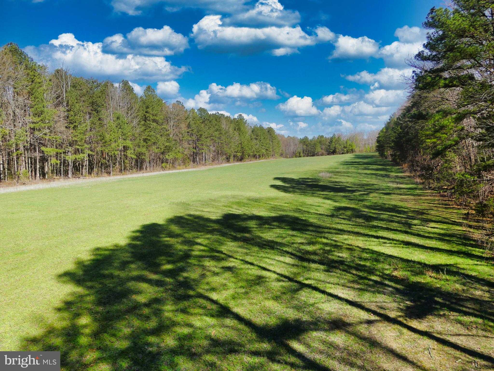 19075 Chilesburg Rd photo 7