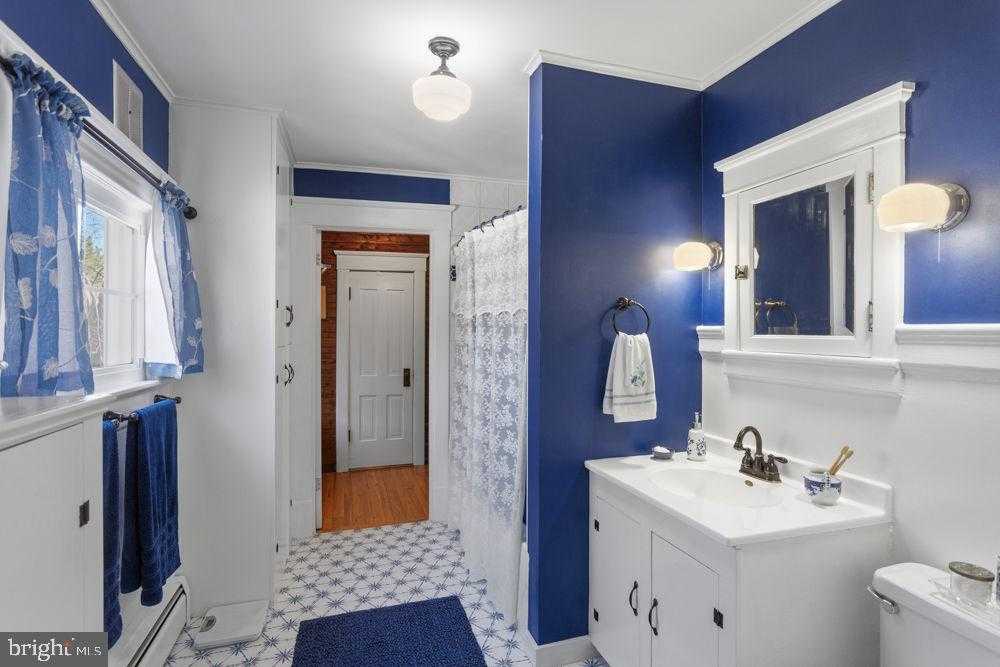 358 Louisa St photo 28