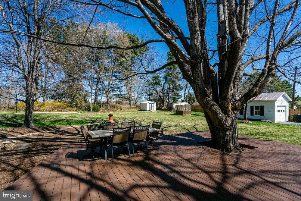 358 Louisa St photo 45