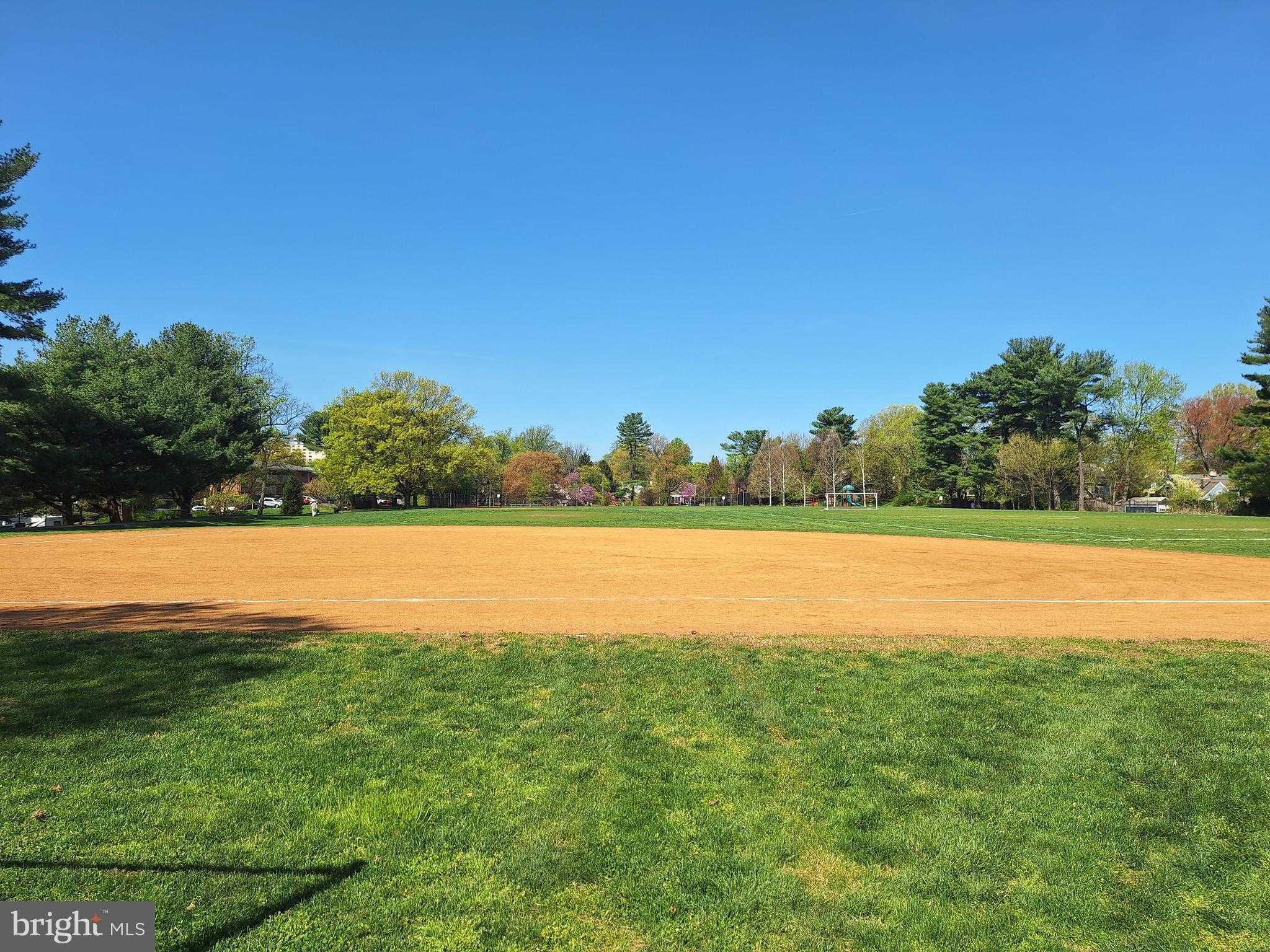 8306 Queen Annes Dr photo 27