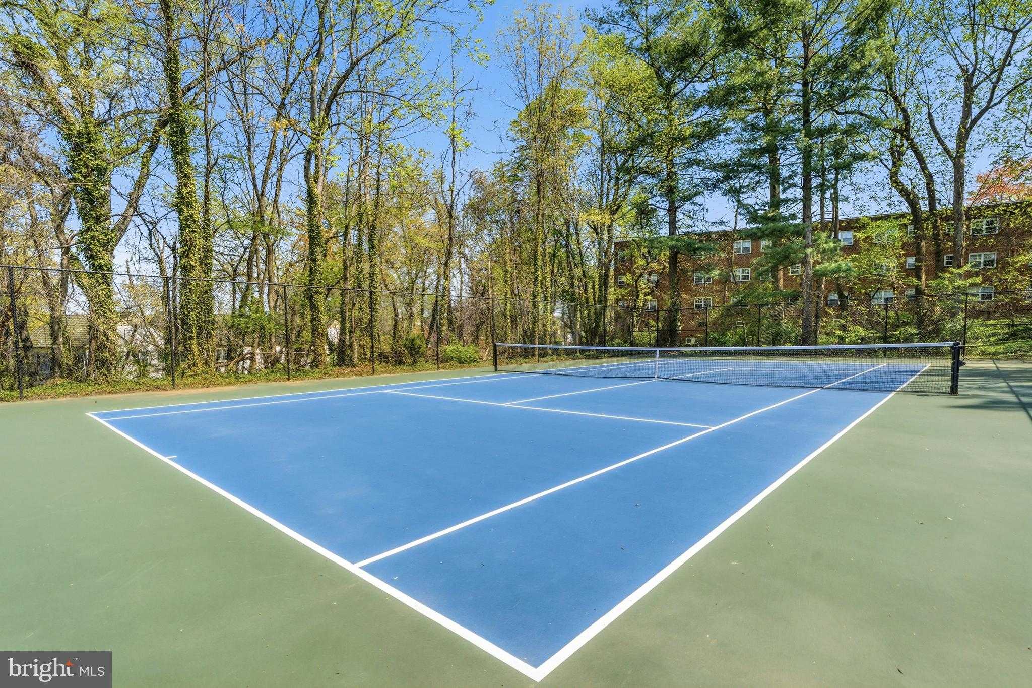 1615 Mount Eagle Pl photo 33