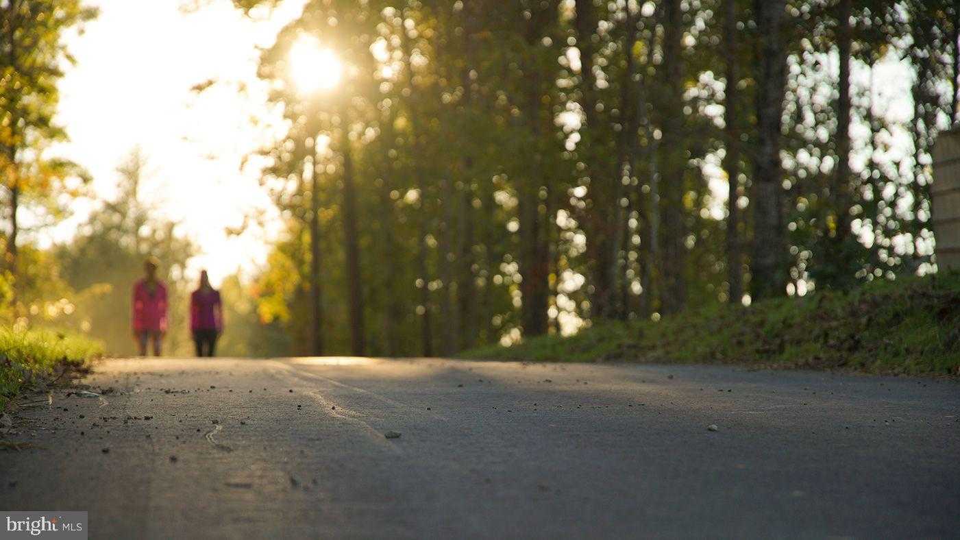 368 Anthem St photo 13