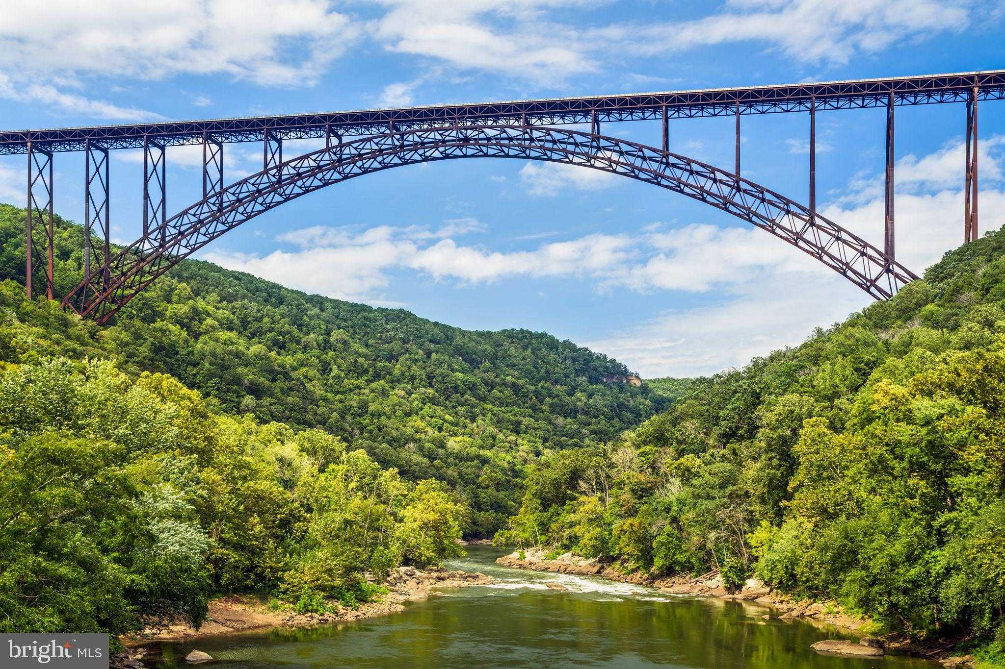 368 Anthem St photo 21