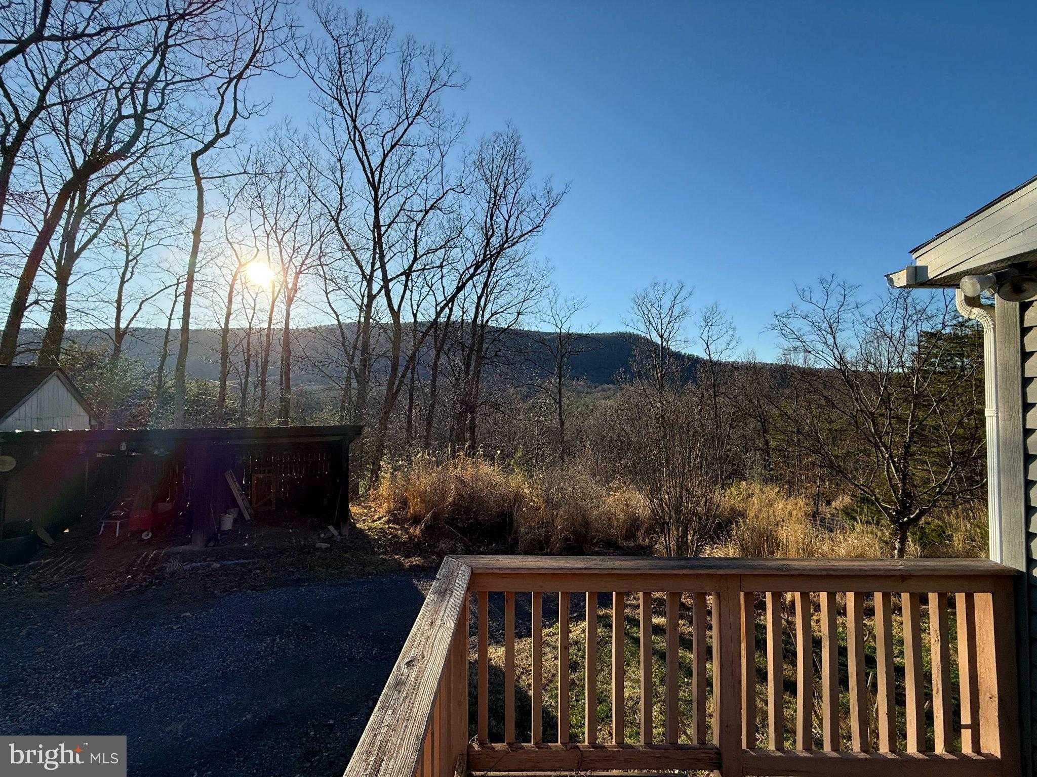 37 Advent Dr photo 15