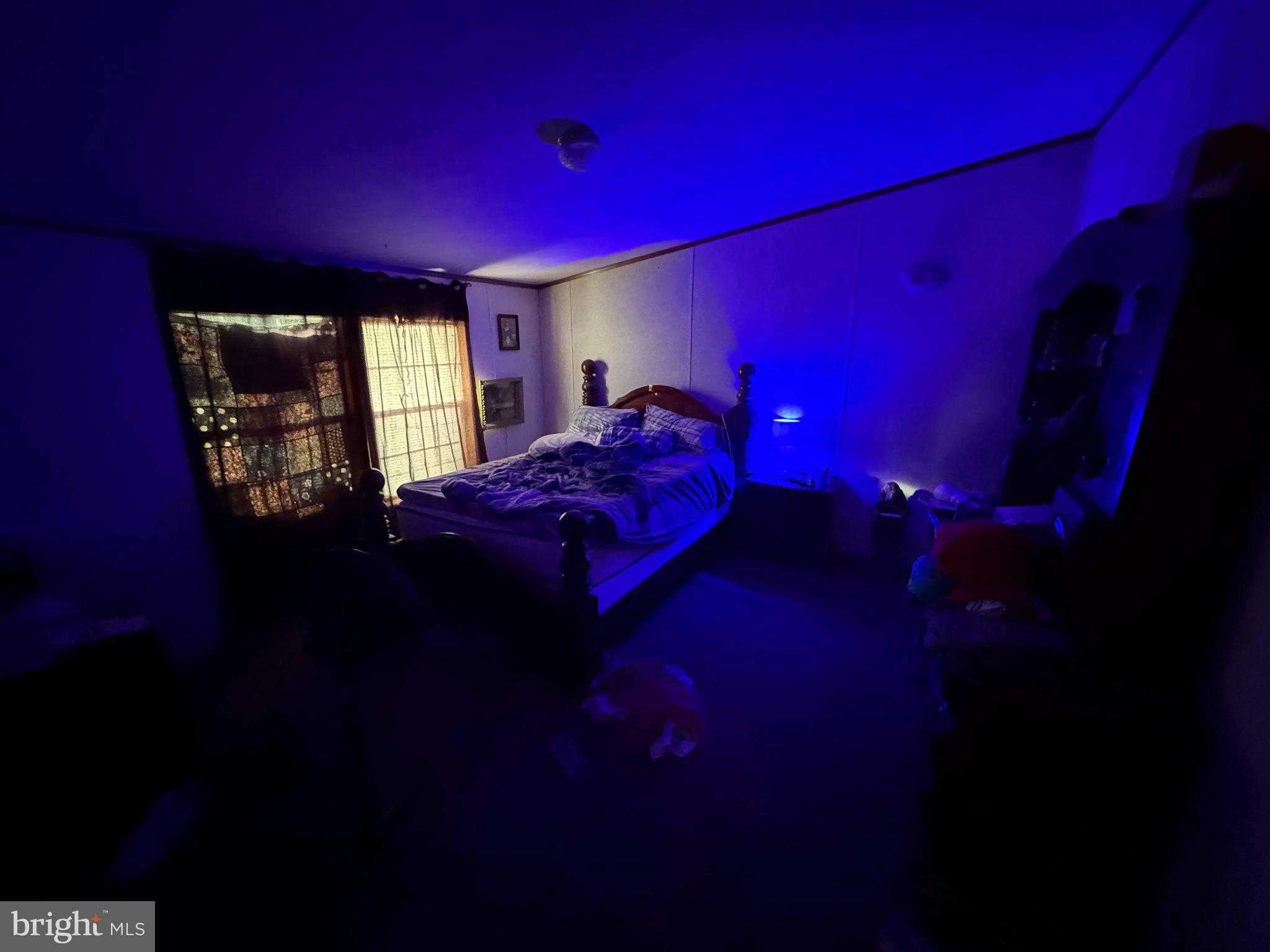 37 Advent Dr photo 37