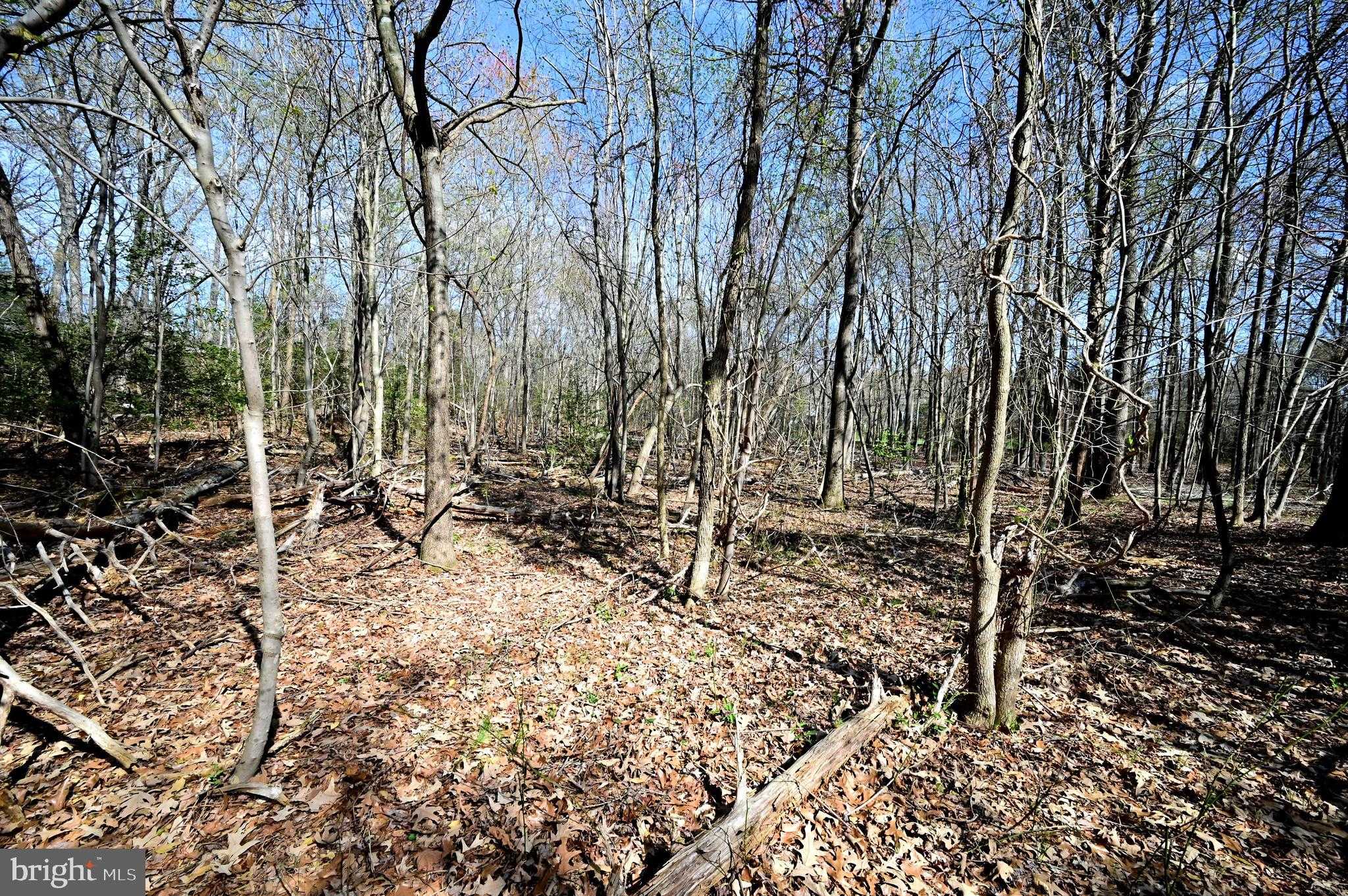 17811 Livingston Rd photo 9