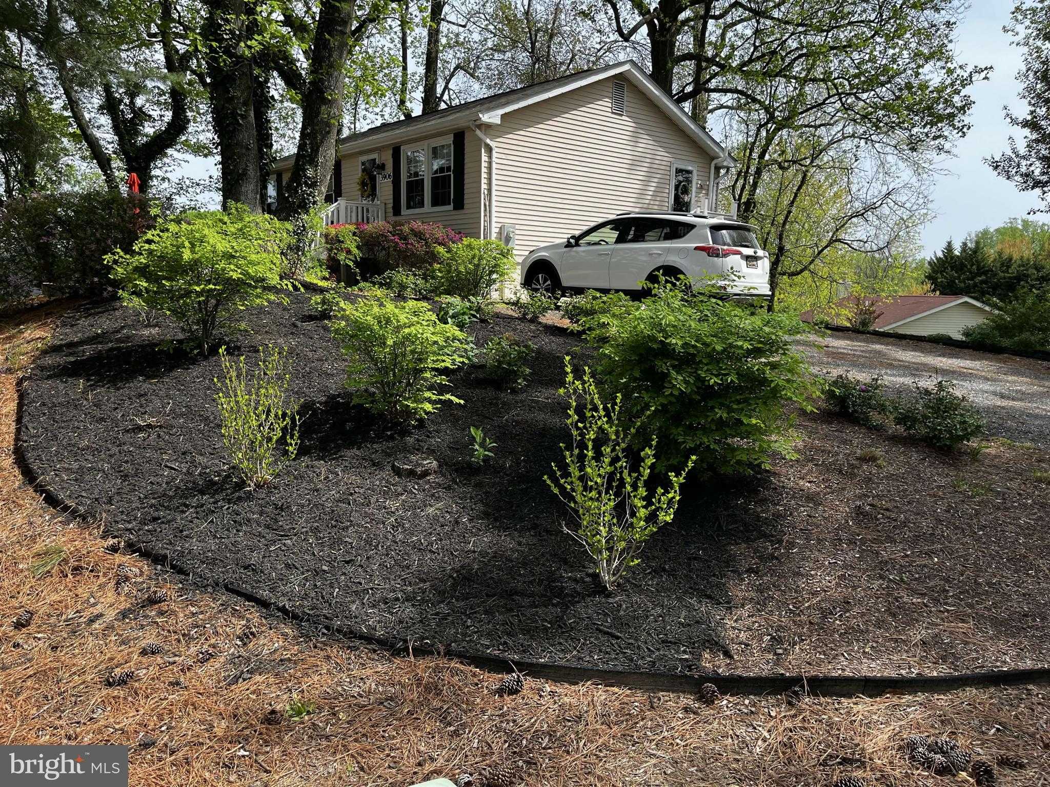 3906 Chesapeake Ave photo 7