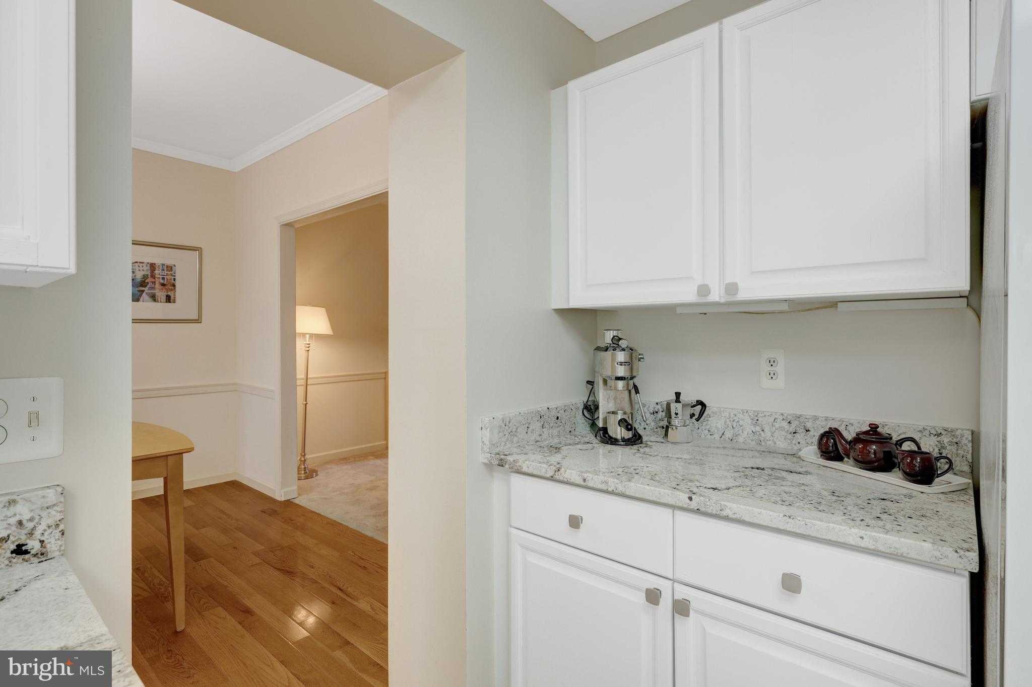 30125 Merchant CT photo 16