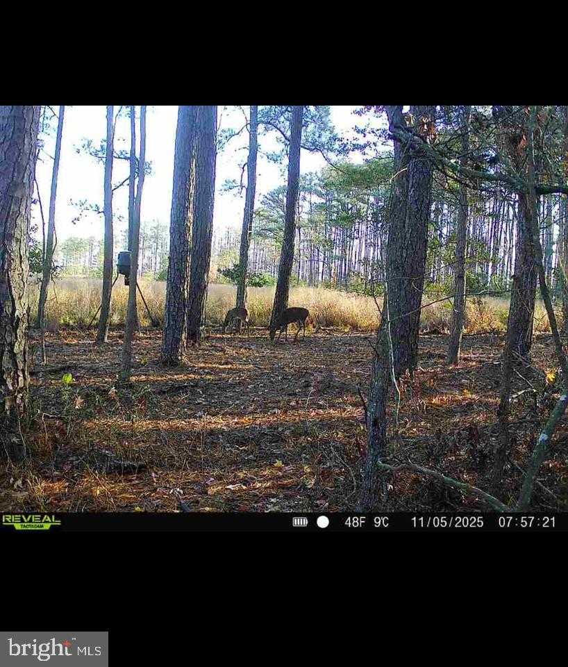 2839 Lakesville Crapo Rd photo 17