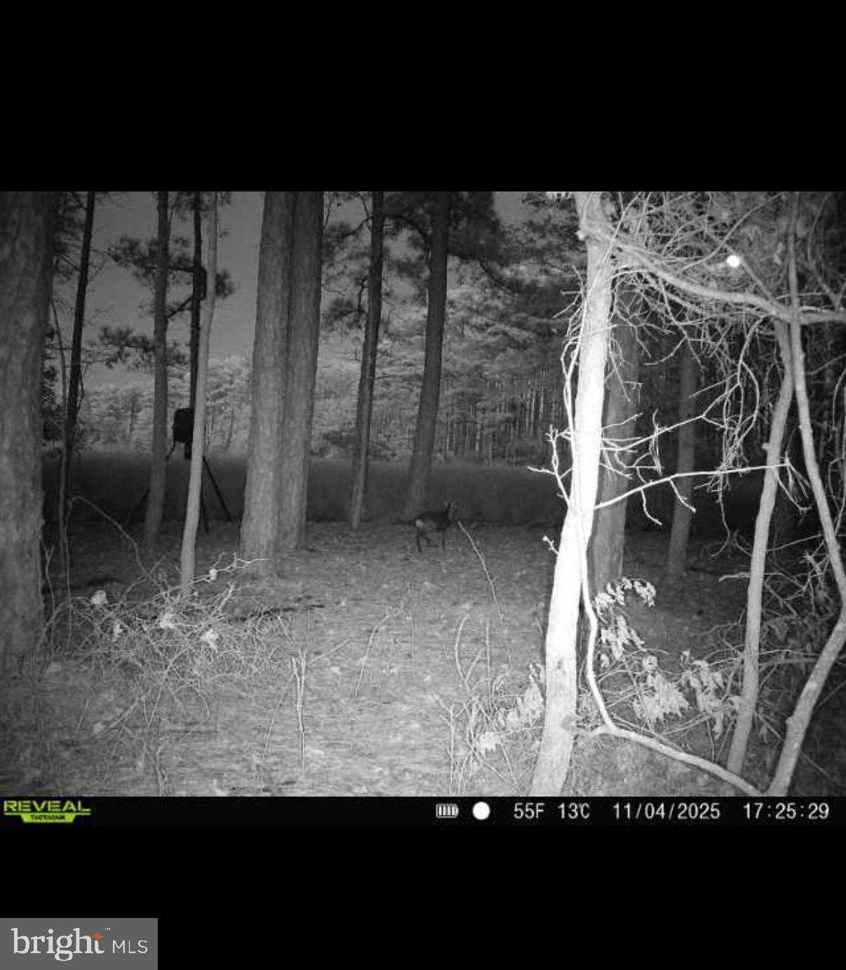 2839 Lakesville Crapo Rd photo 18