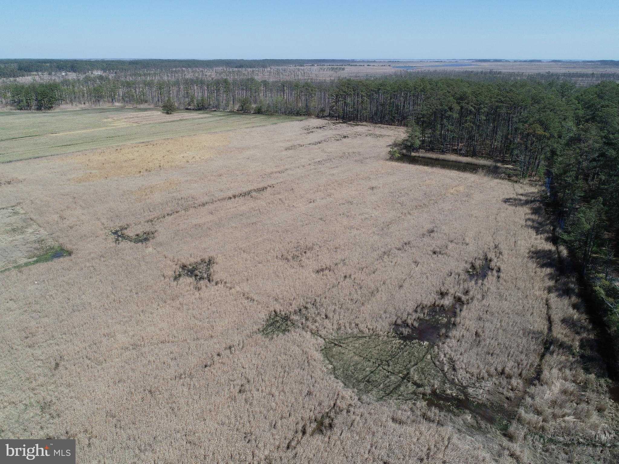 2839 Lakesville Crapo Rd photo 32