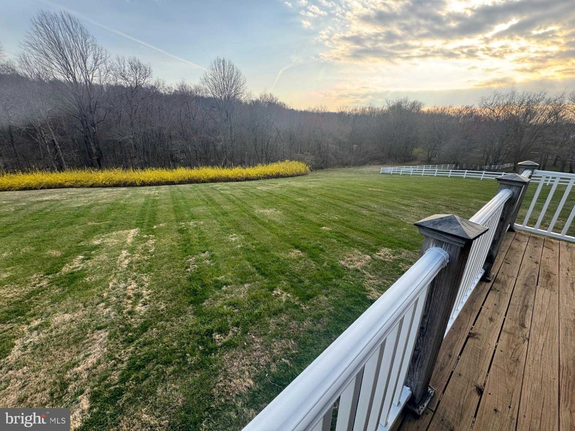 3272 Starting Gate CT photo 7