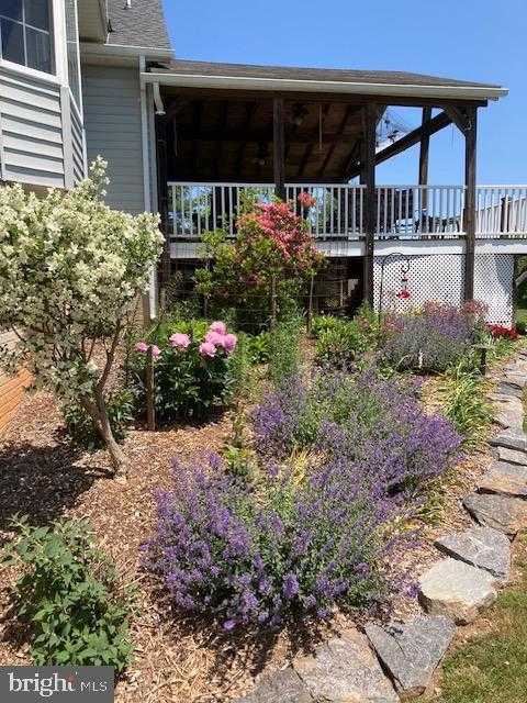 3272 Starting Gate CT photo 9