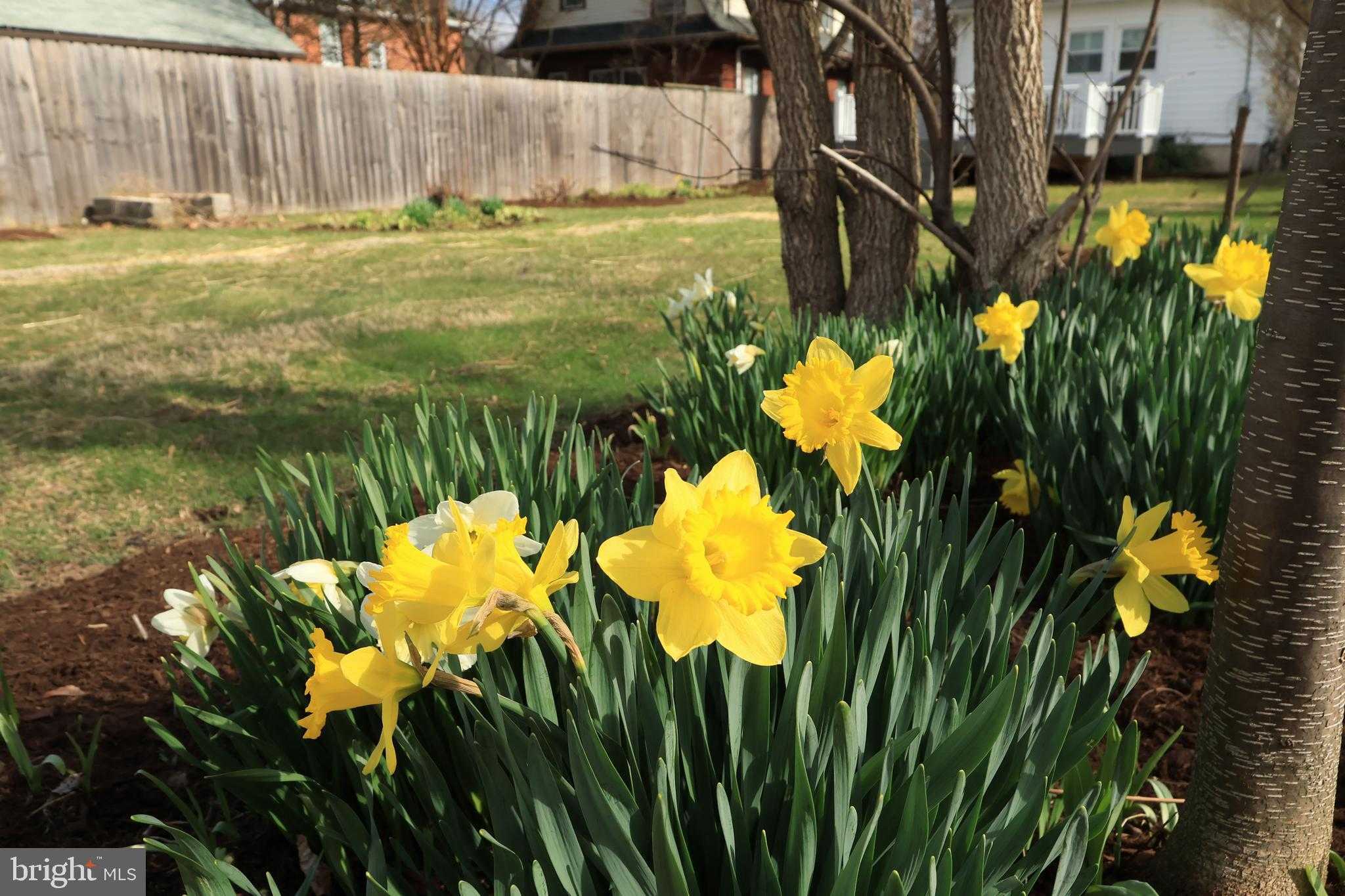 222 S Gill St photo 49