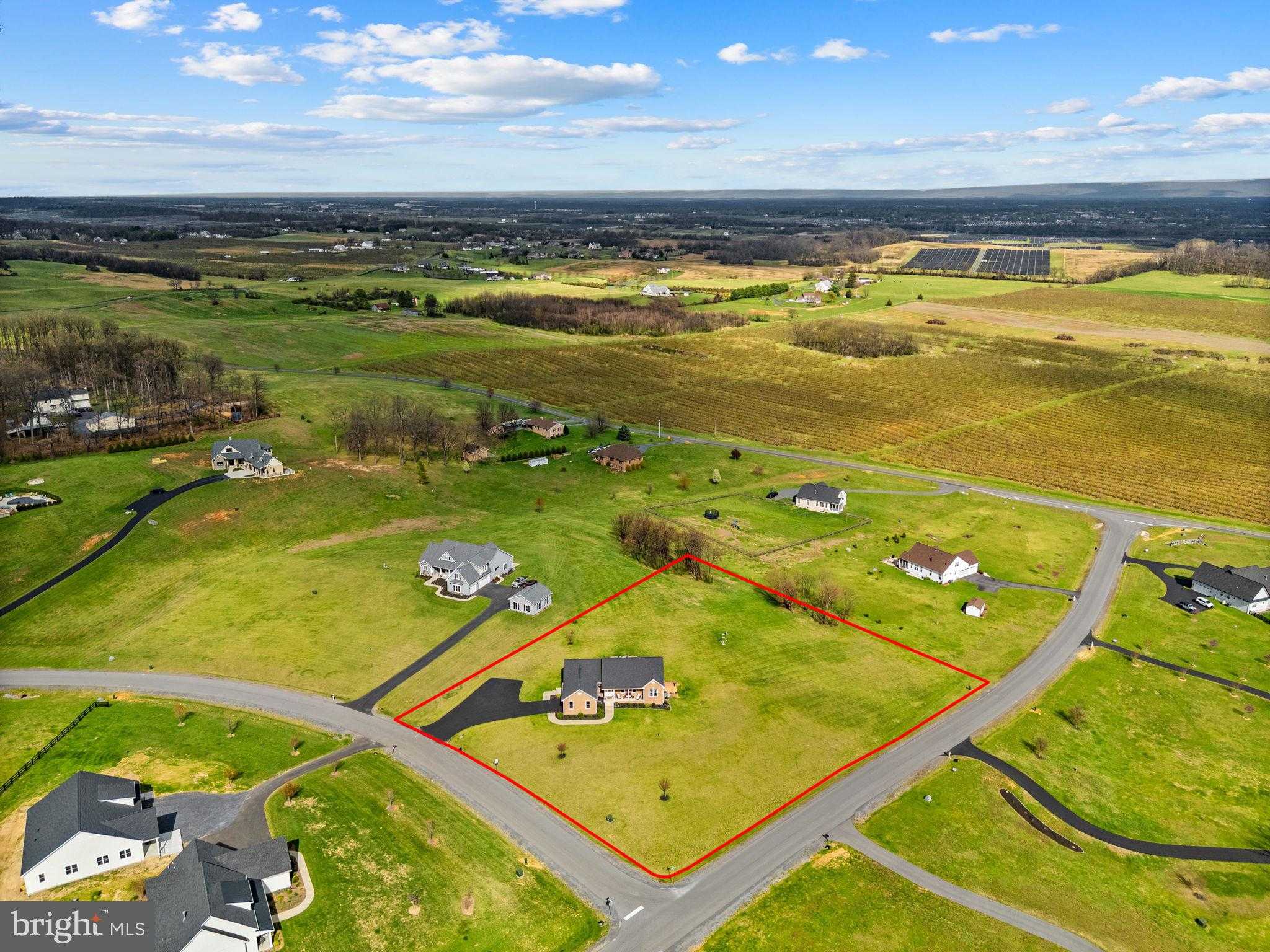 100 Pomme Cir photo 2