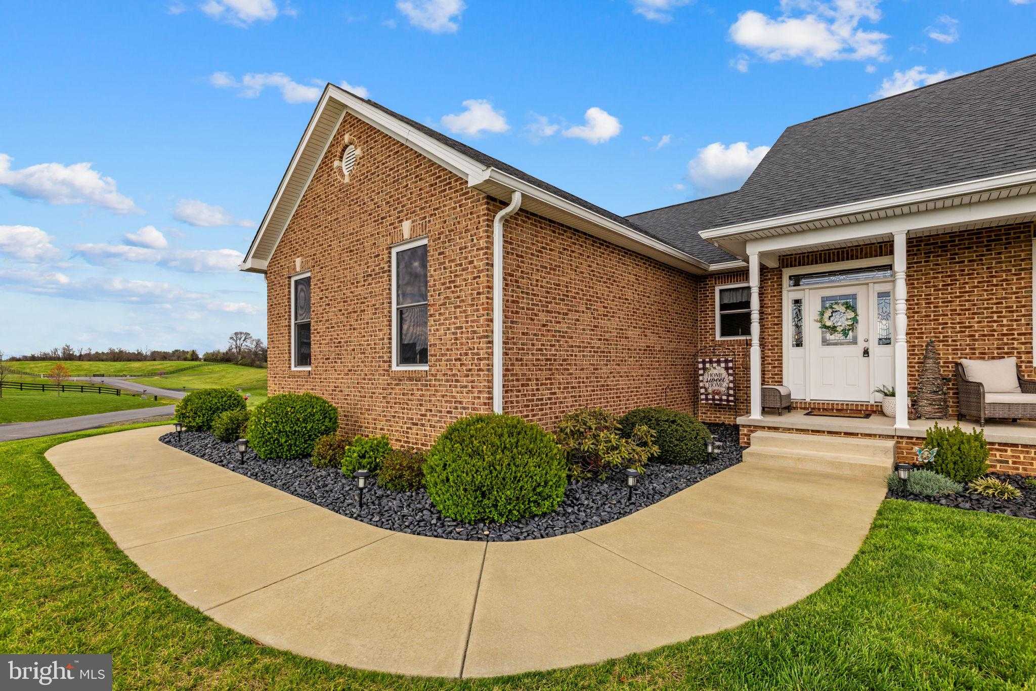 100 Pomme Cir photo 7