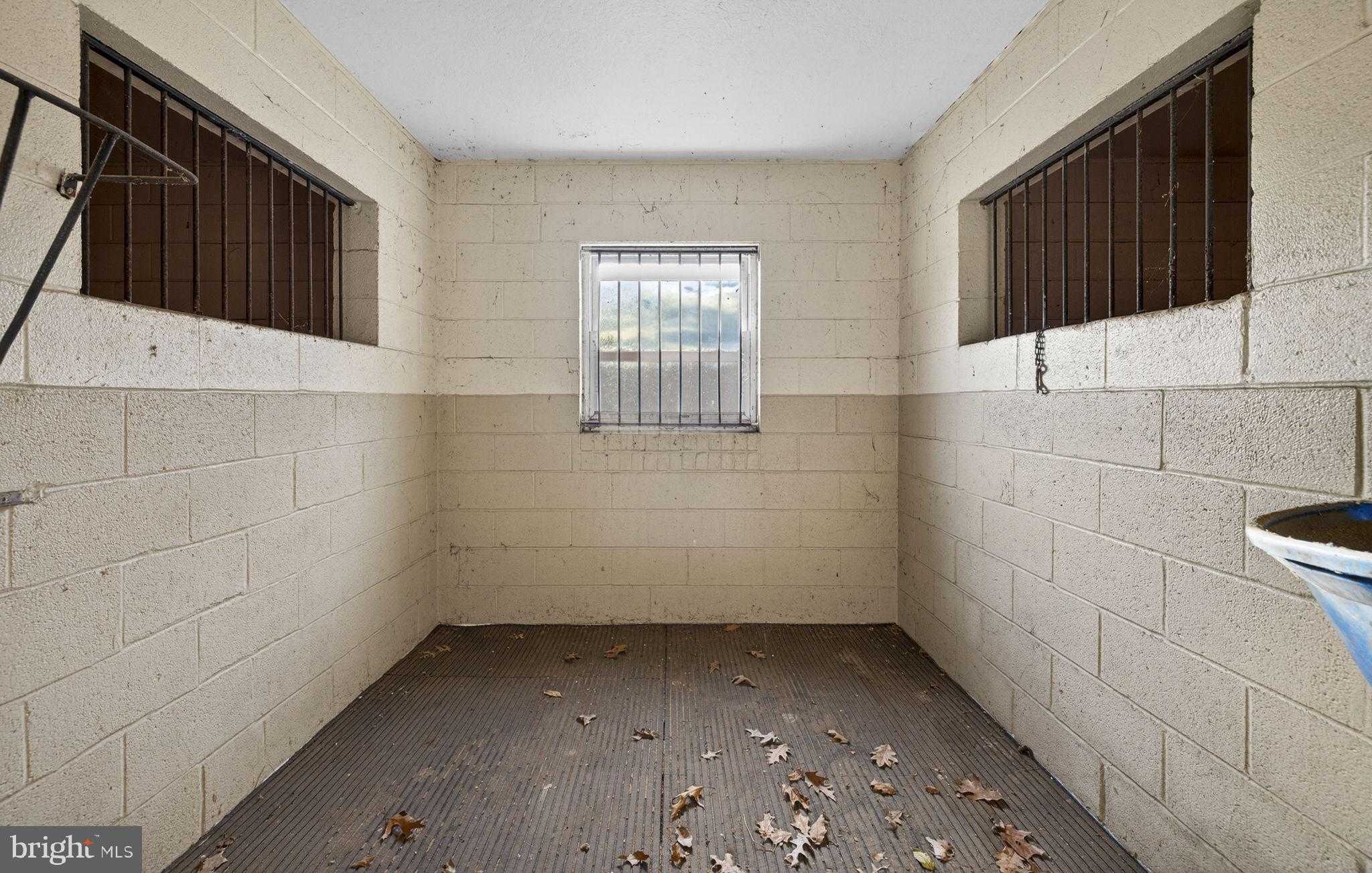 456 Marple Rd photo 67