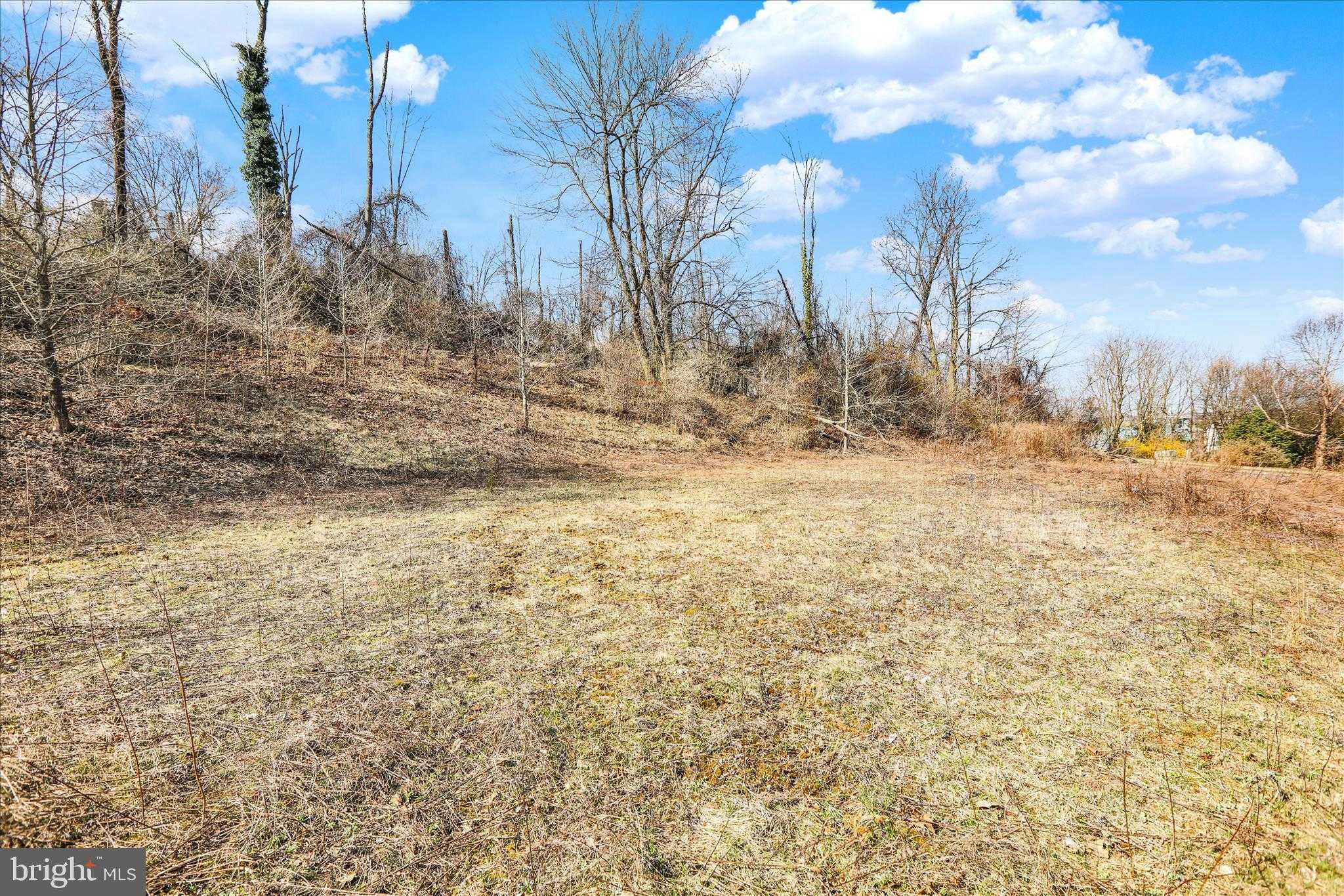 250 Isabella Rd photo 8