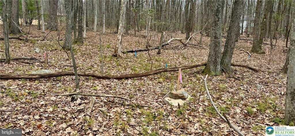 500 Sumac Ct photo 6