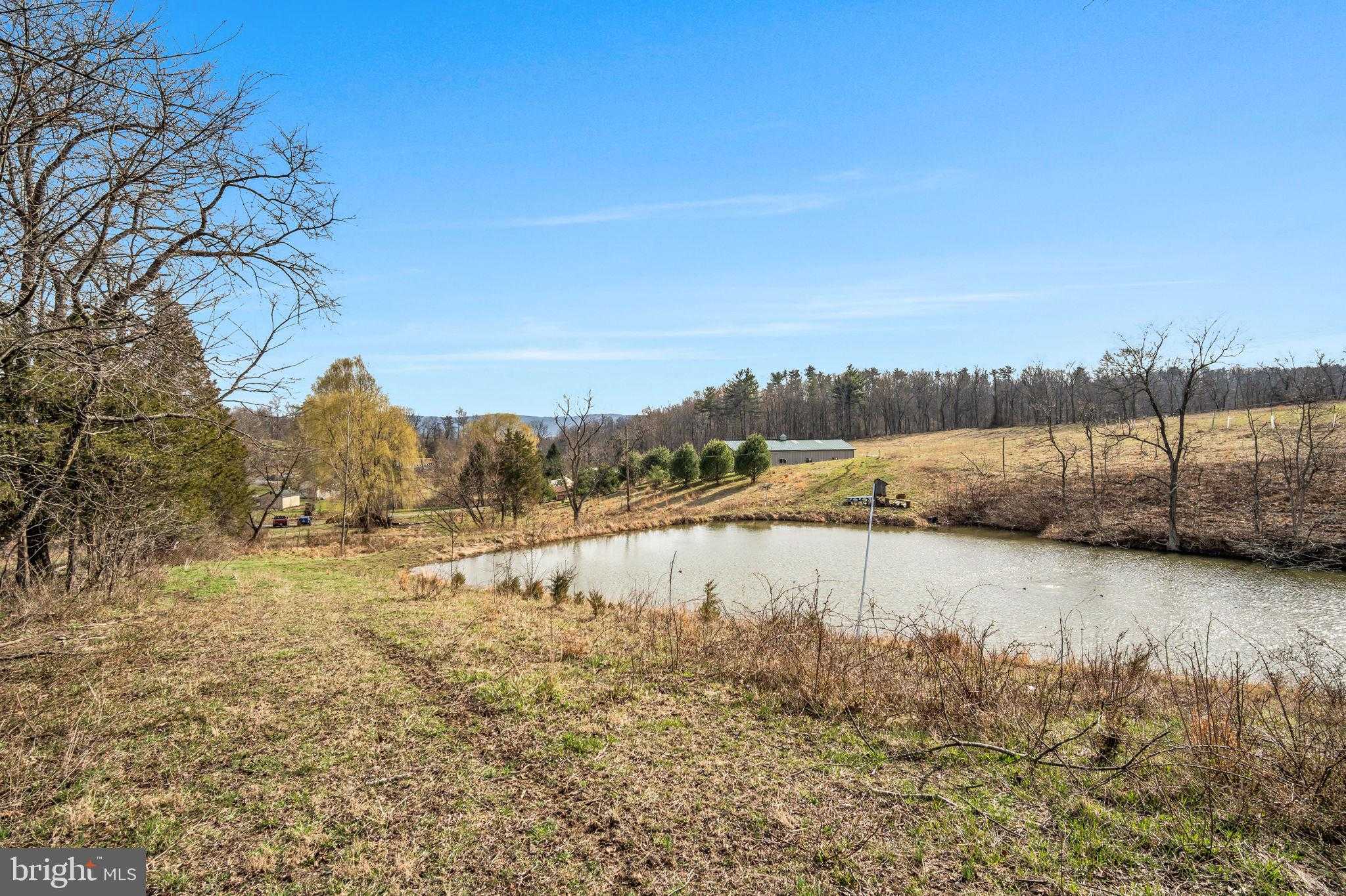 6196 Waggoners Gap Rd photo 56