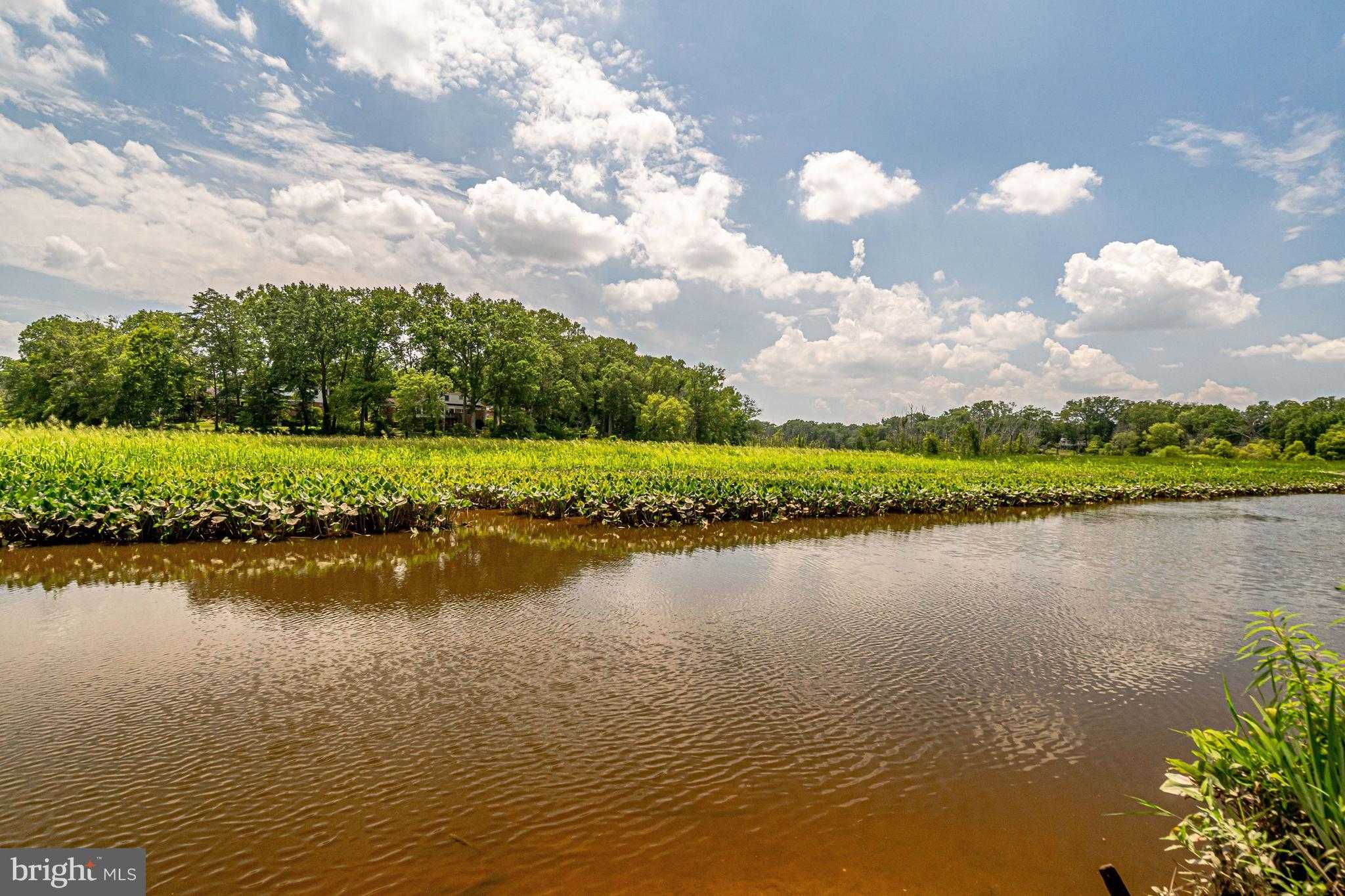 8213 Clifton Farm CT photo 59