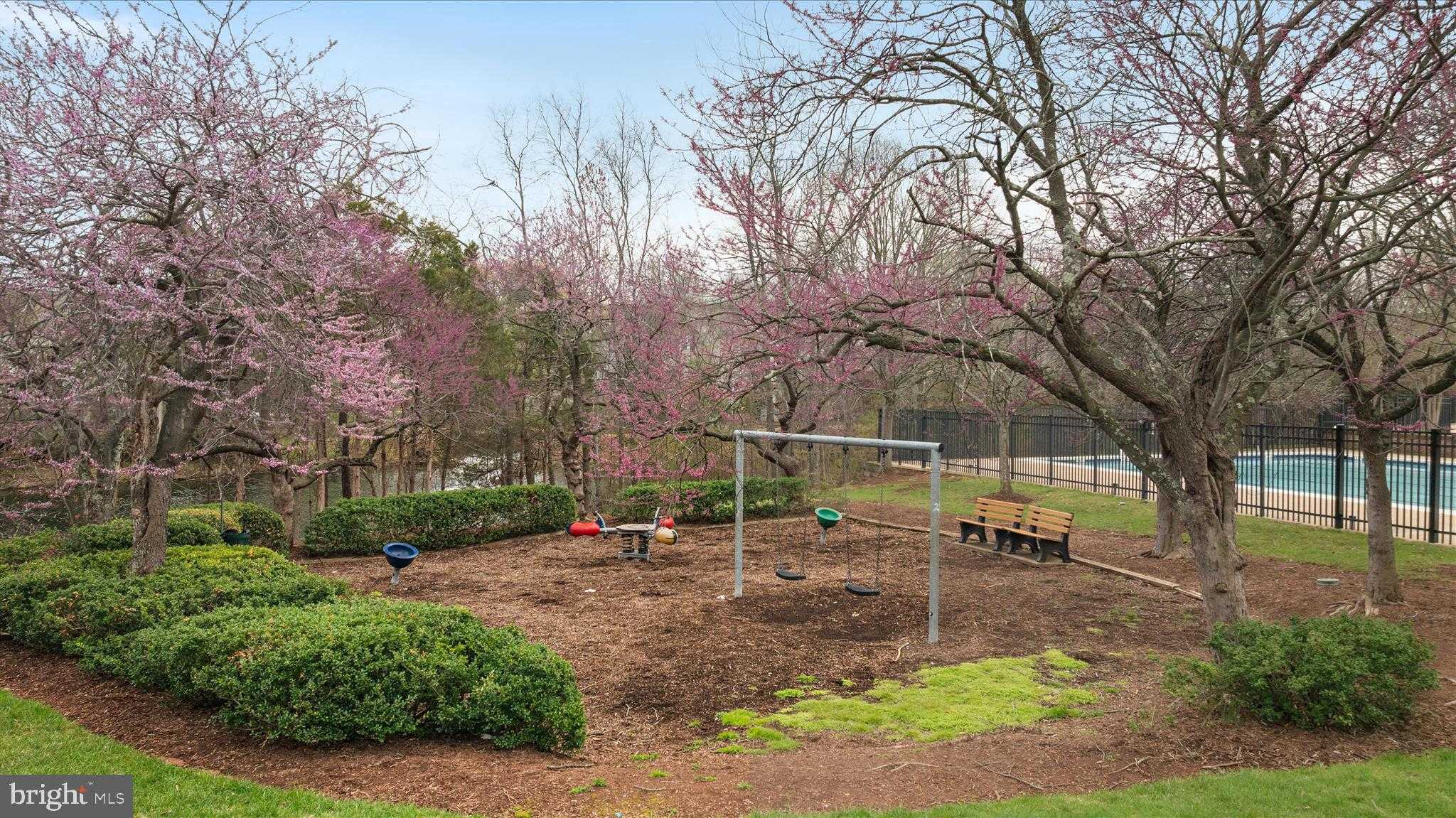 45591 Hutchens Sq photo 49