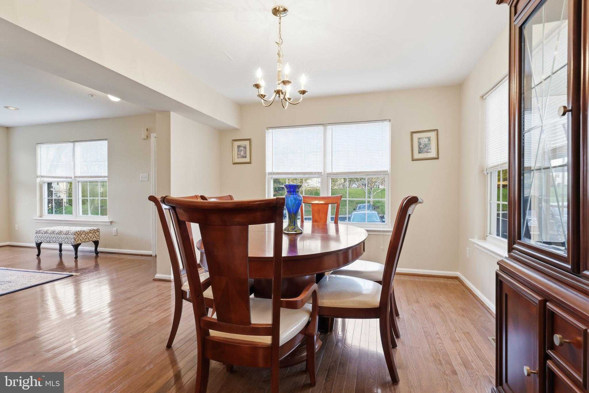 824 Purple Martin CT # 228 photo 16