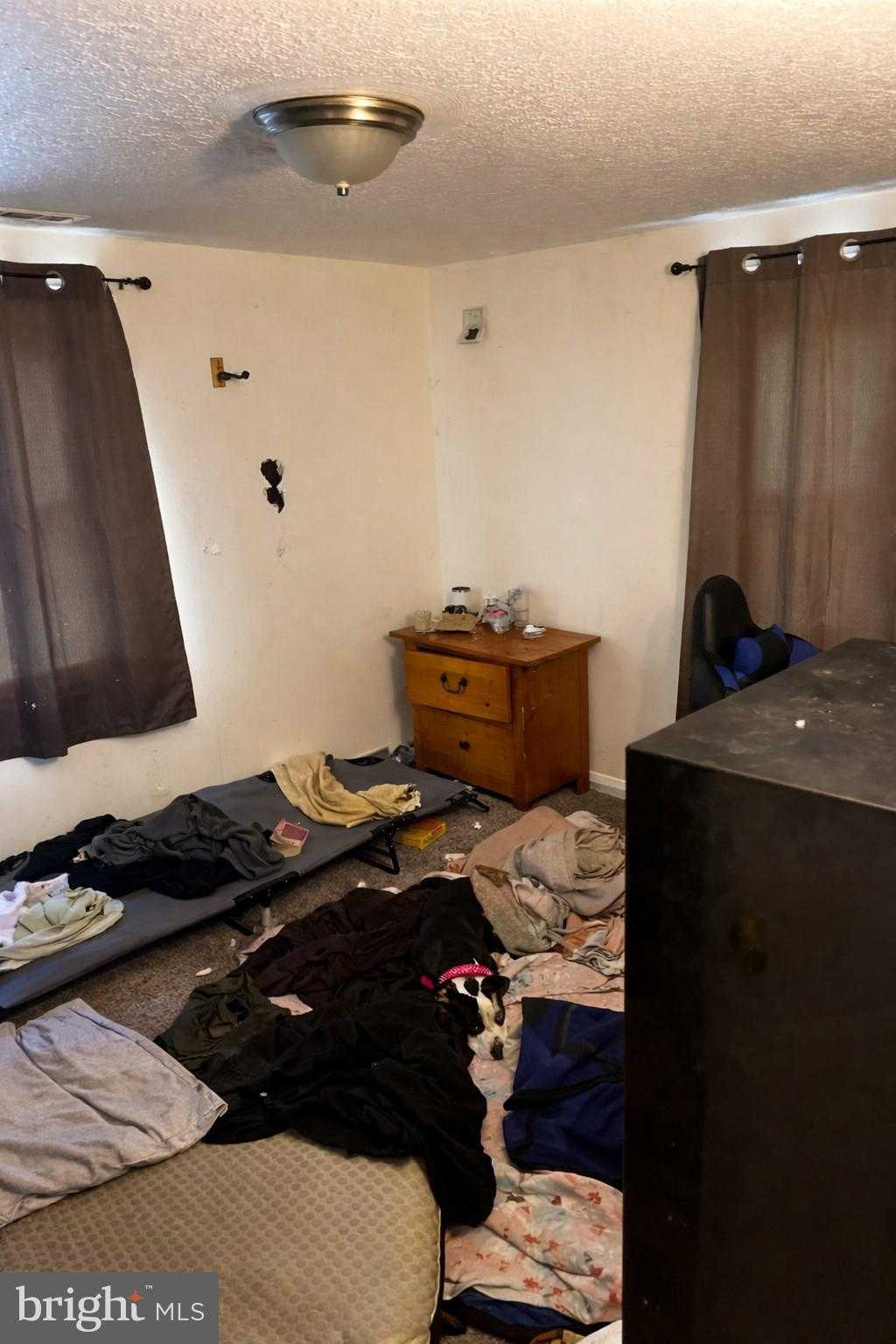 224 Elizabeth Ave photo 4