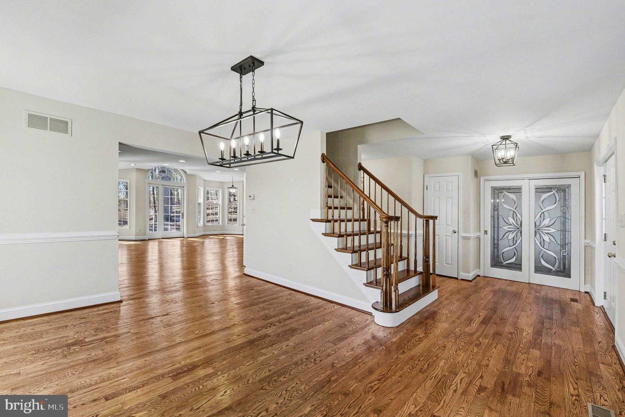 23 Gray Squirrel CT photo 3