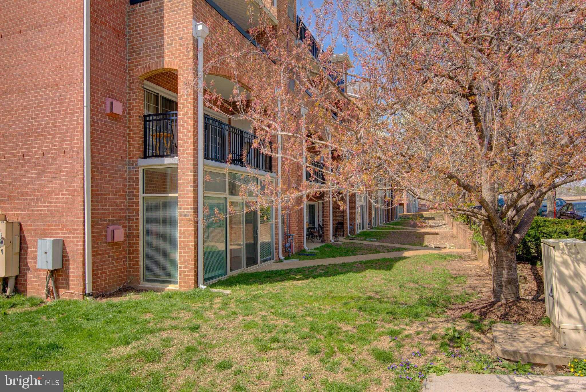 6908 Fairfax Dr Unit 100 photo 30