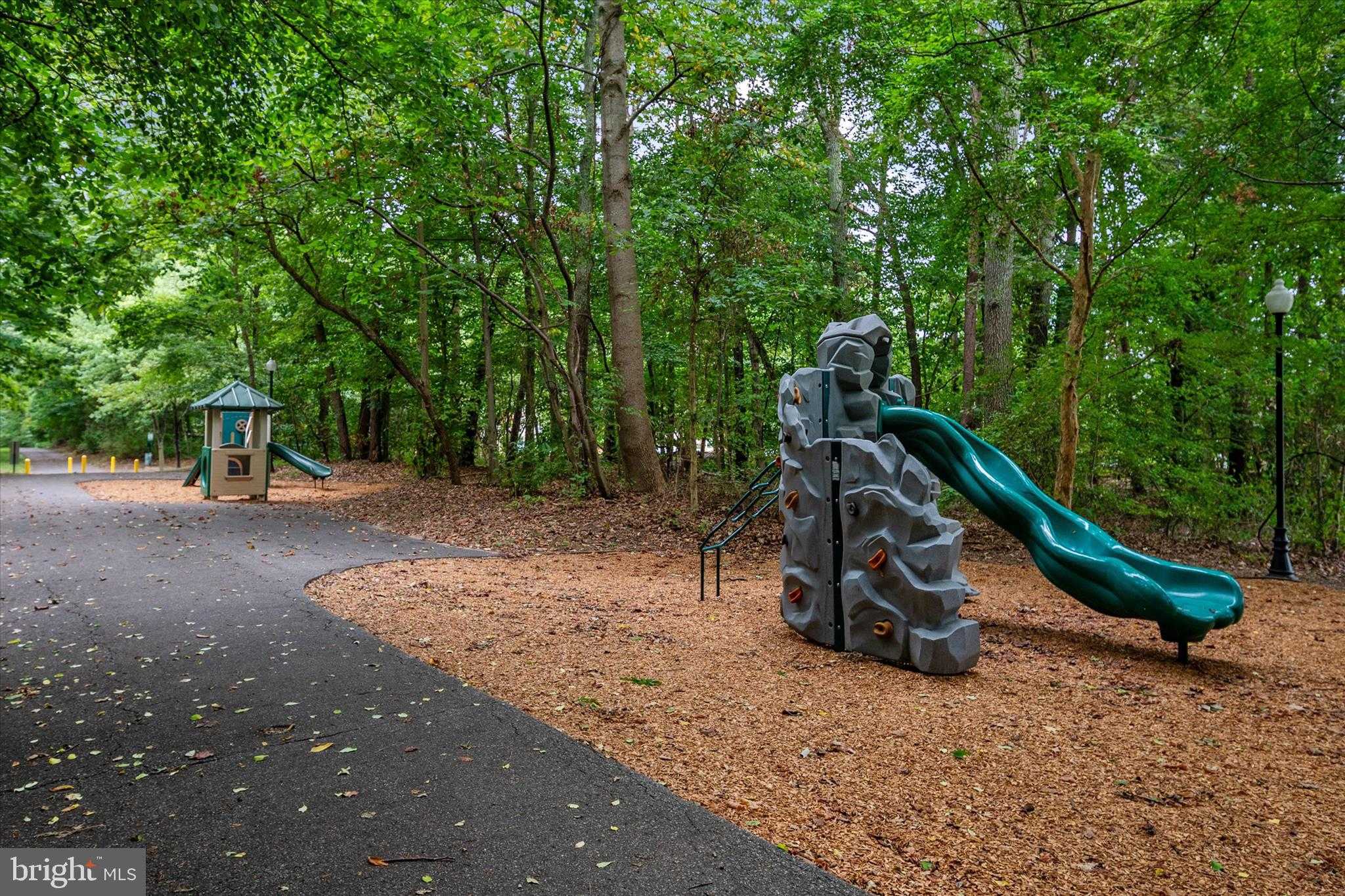 2509 Orchard Knoll Way photo 74