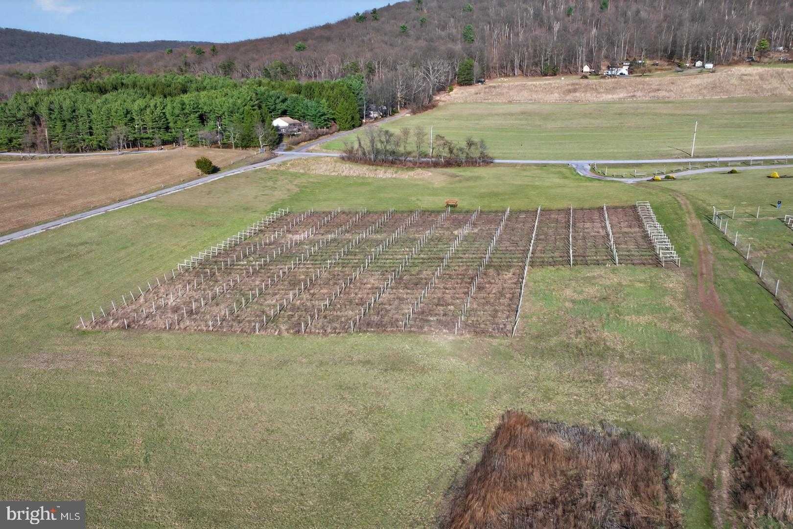 596 Harman Rd photo 13