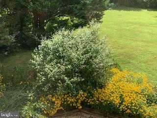 9605 Bronte Dr photo 78