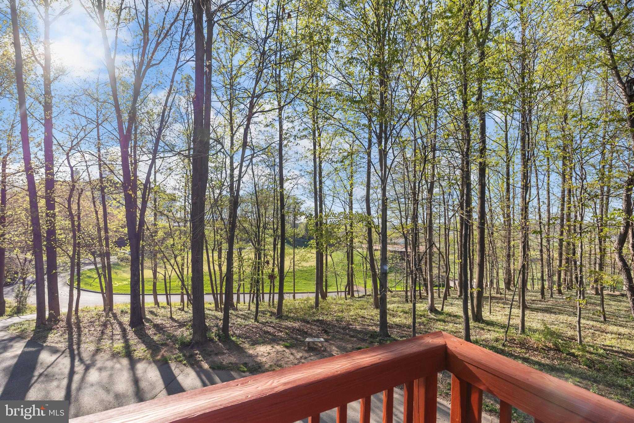 47772 Scotsborough Sq photo 68